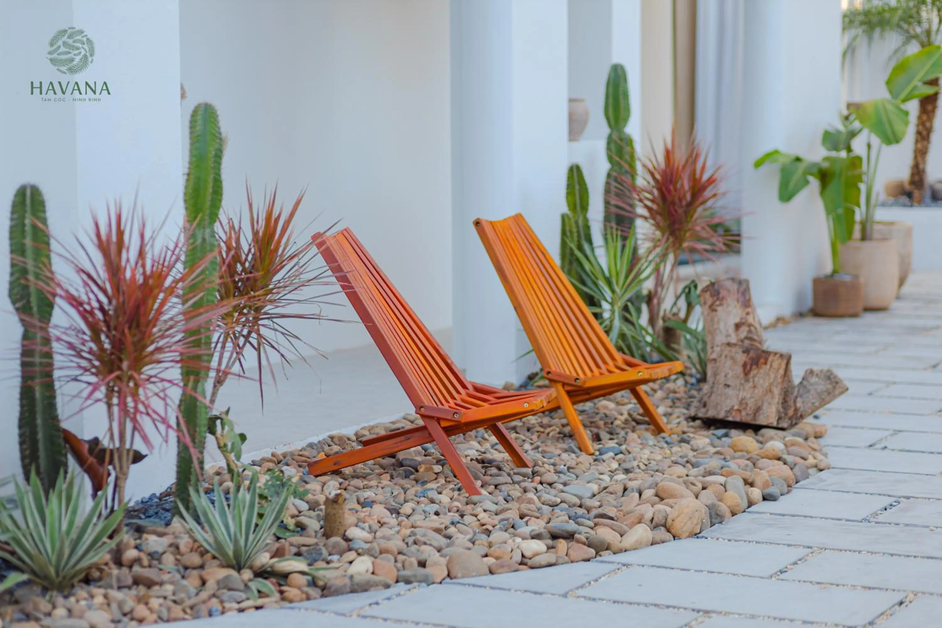 Havana Tam Coc Ninh Binh