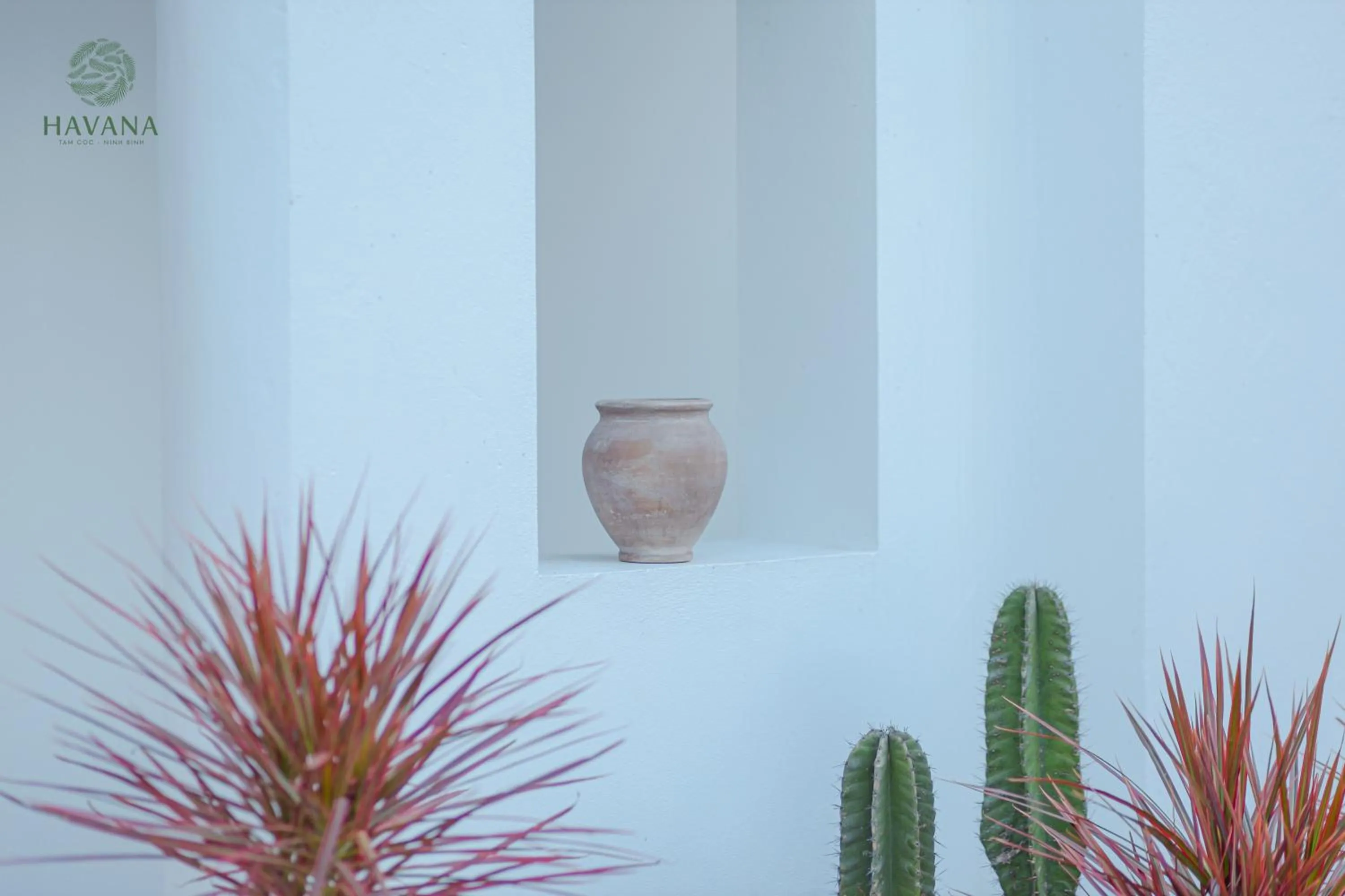 Havana Tam Coc Ninh Binh