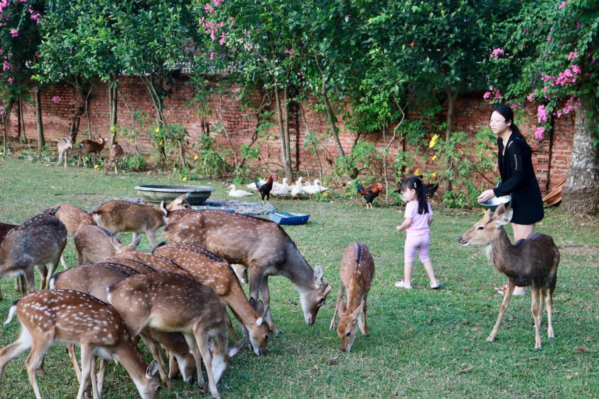 Day in Asean Resort - Shiki Onsen & Spa