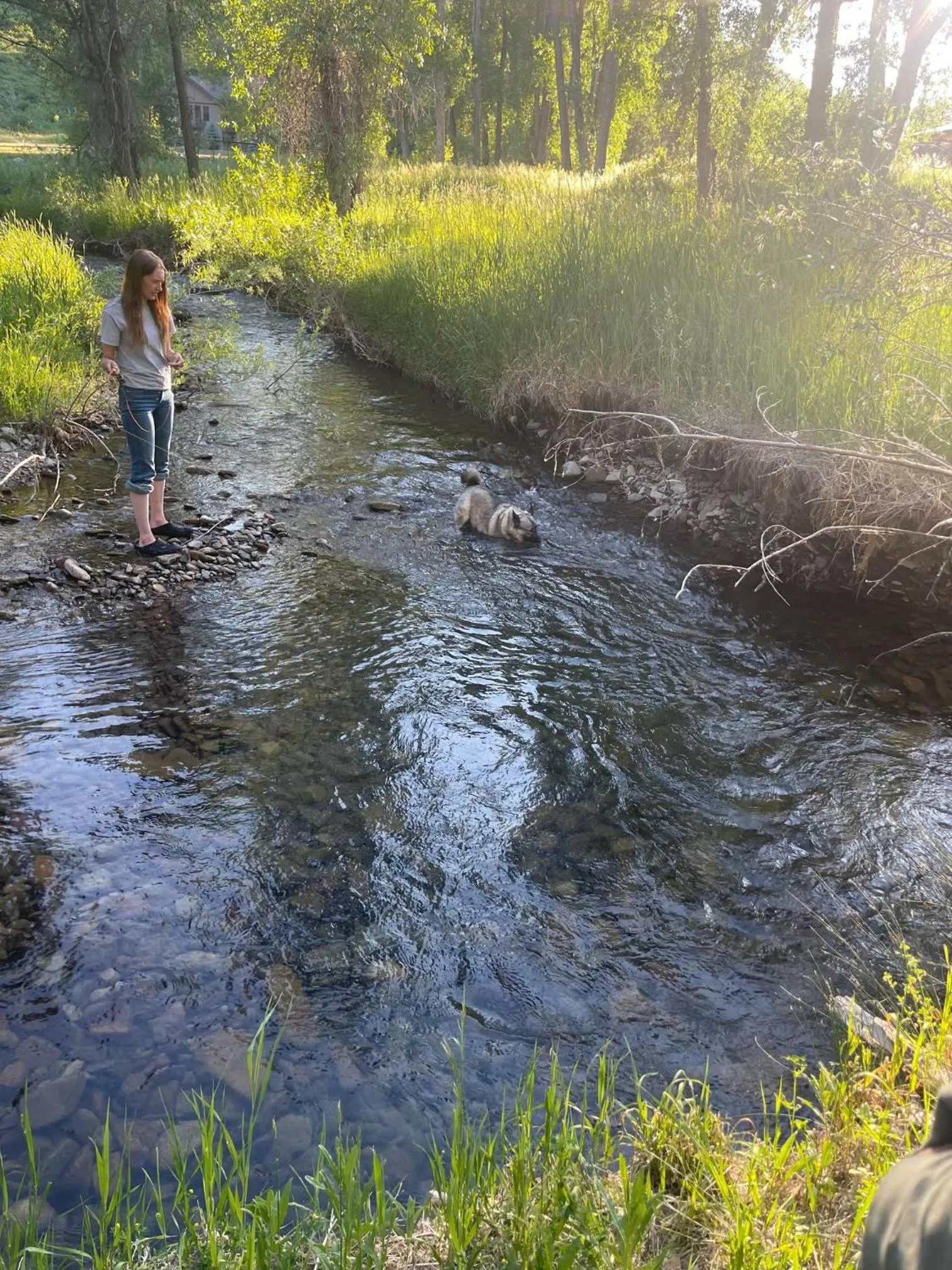 Antlers on the Creek Bed & Breakfast