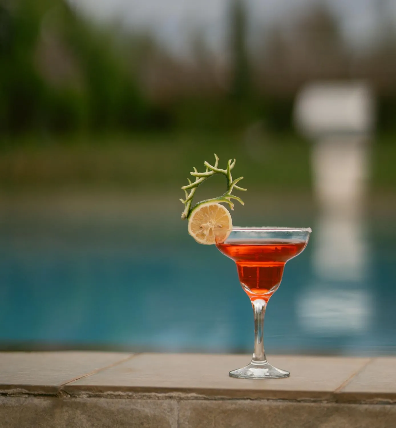 Day in The Maridadi Hotel