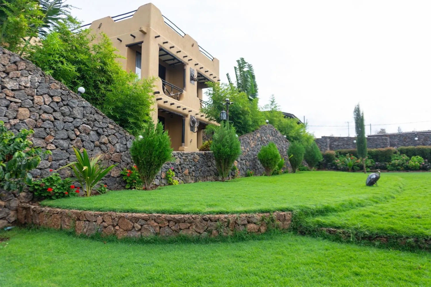 Property building in The Maridadi Hotel