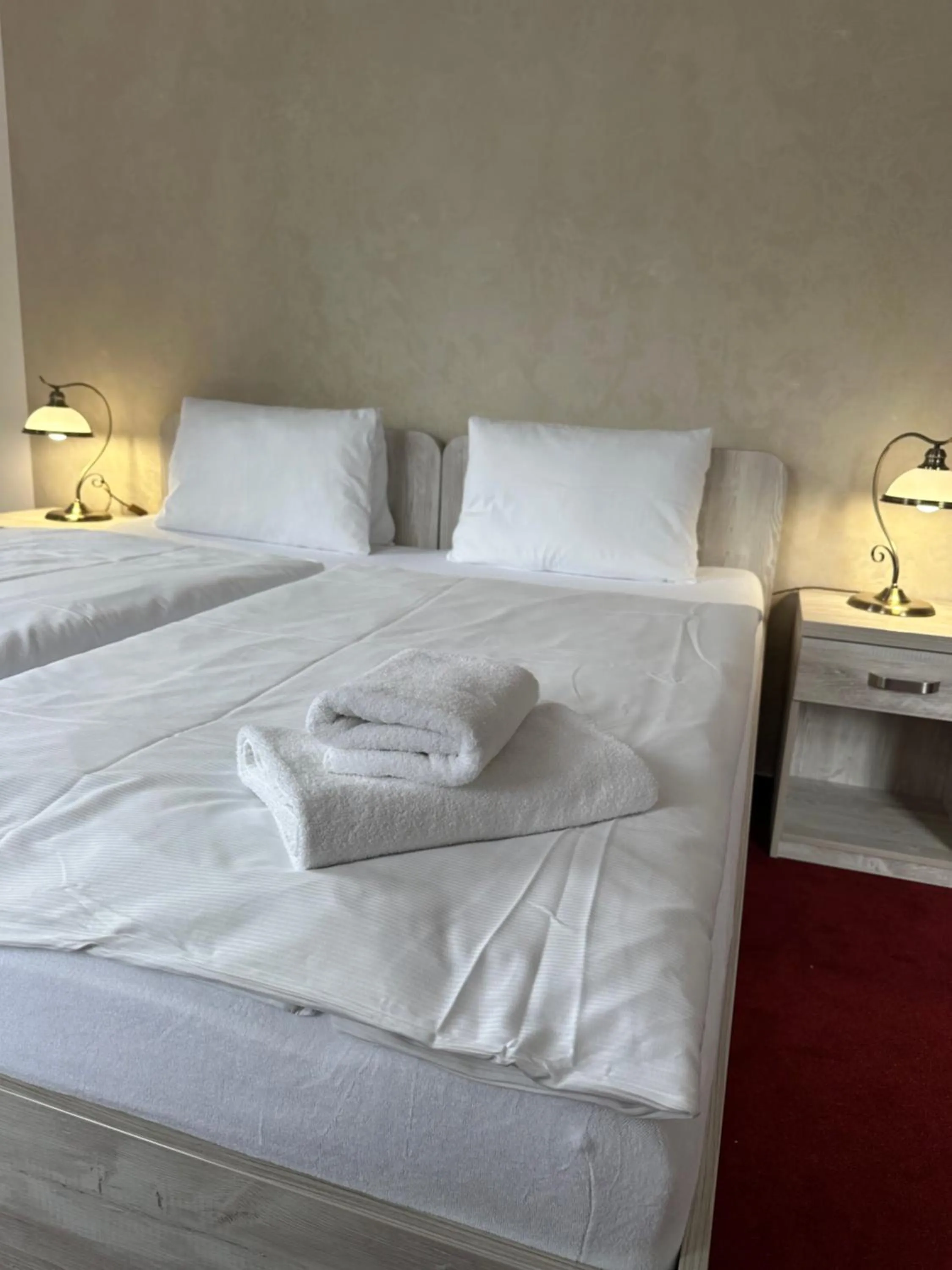 Bed in Hotel Zámeček Raspenava