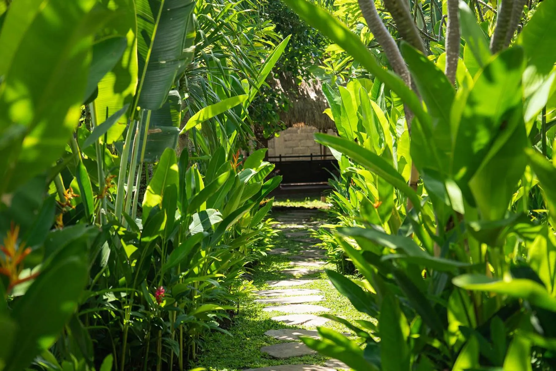 Garden in Kayu Village