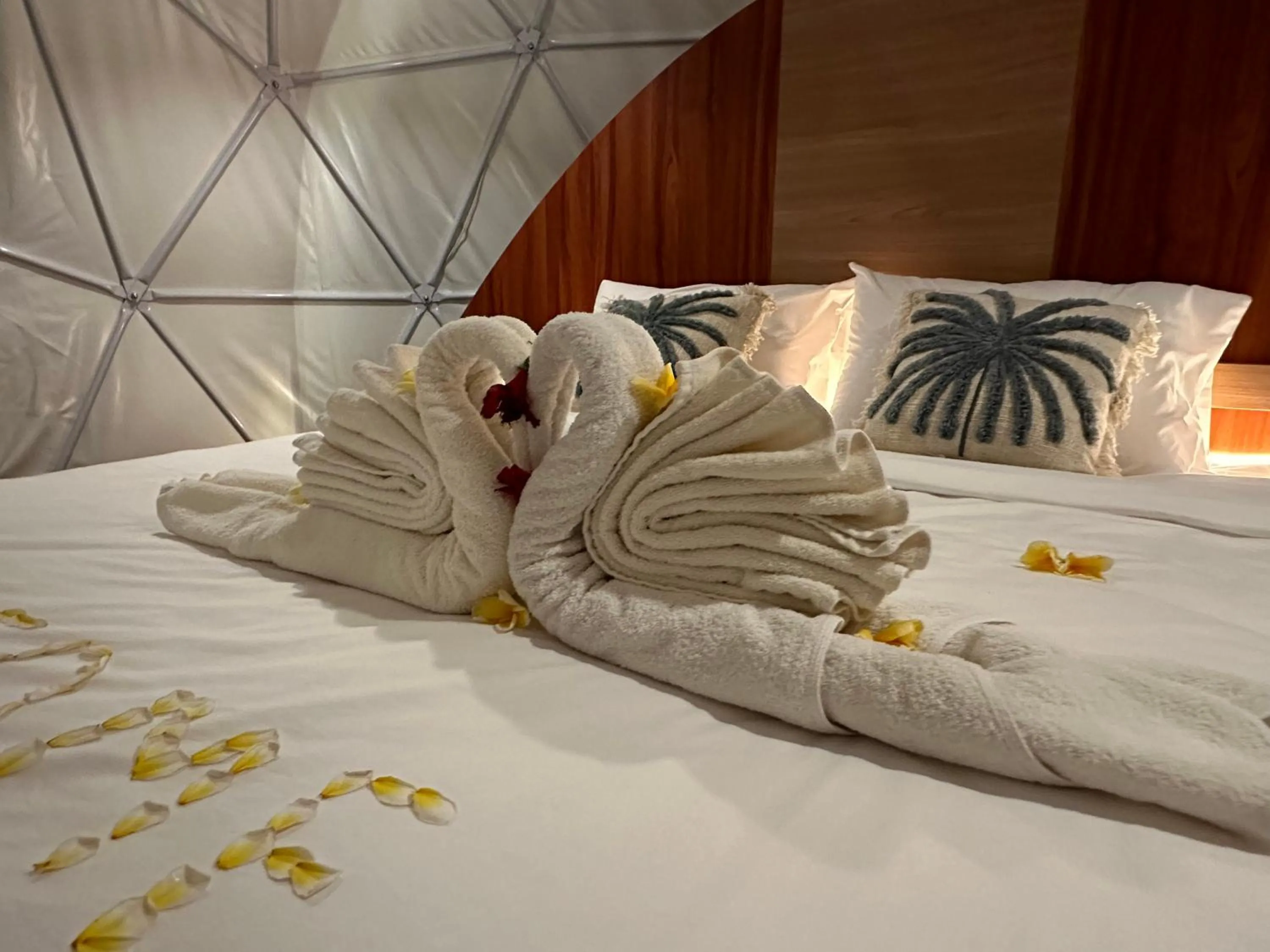 Bed in Glamping @ Pebbles & Fins