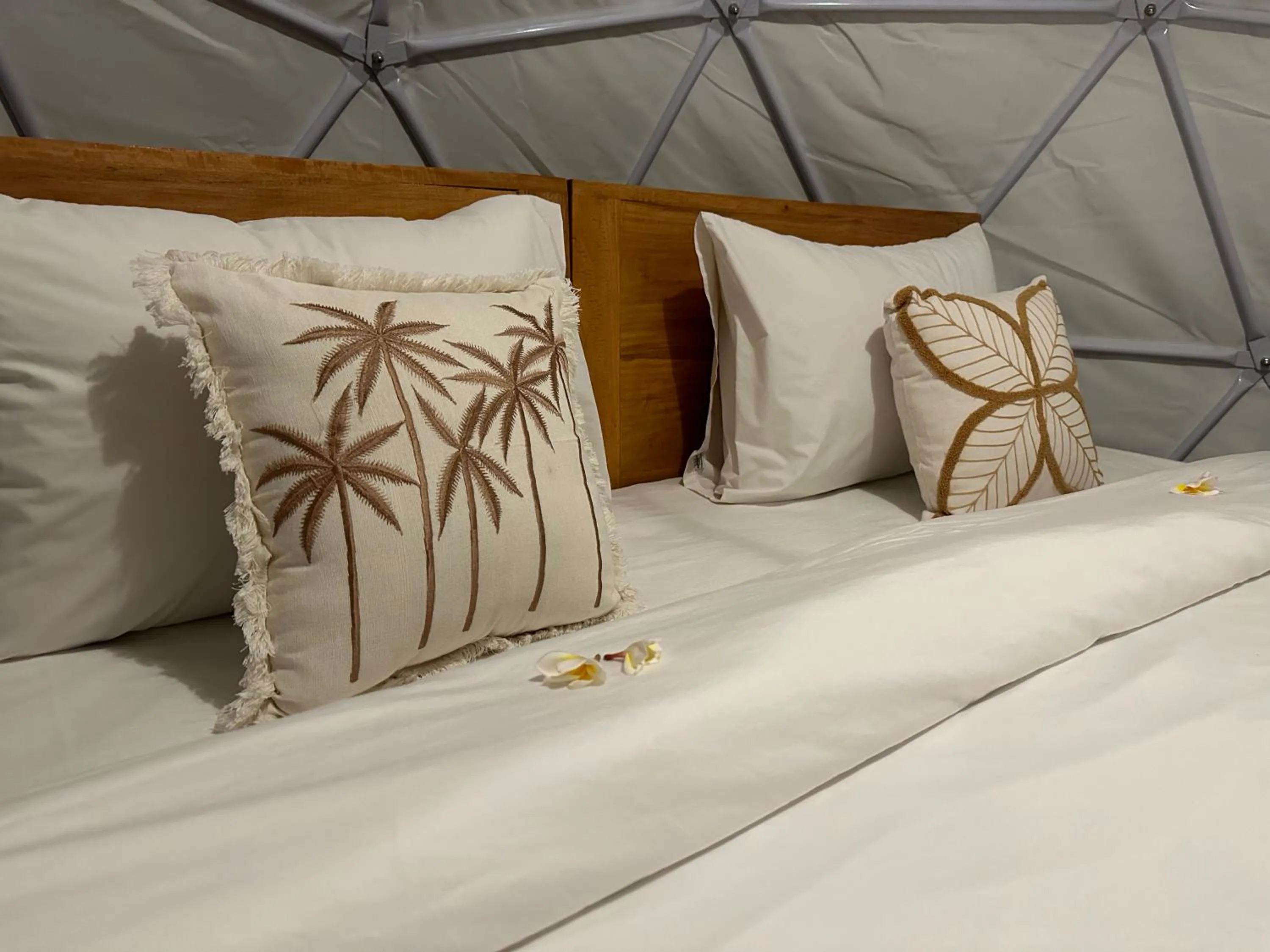 Bed in Glamping @ Pebbles & Fins