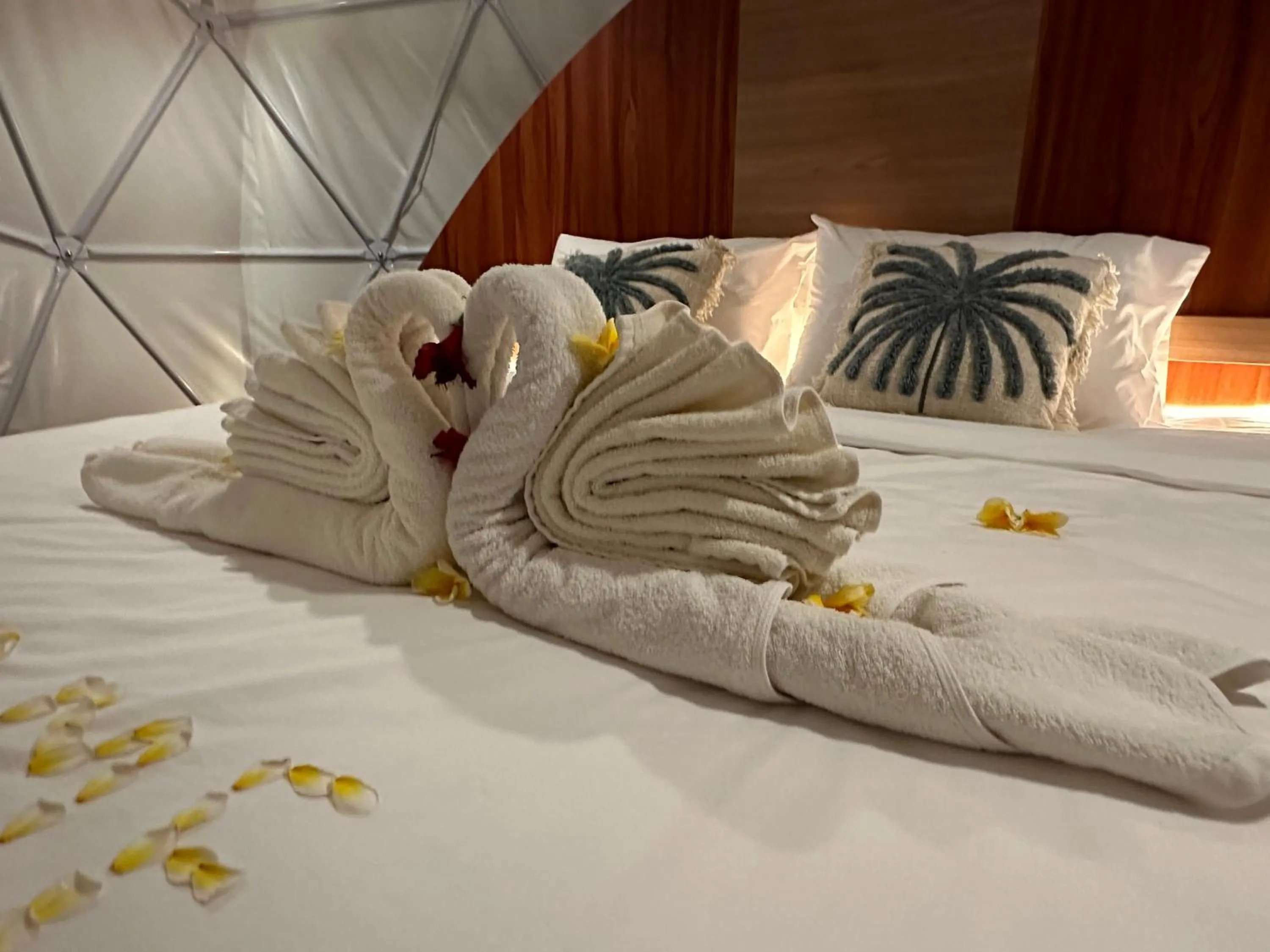 Bed in Glamping @ Pebbles & Fins