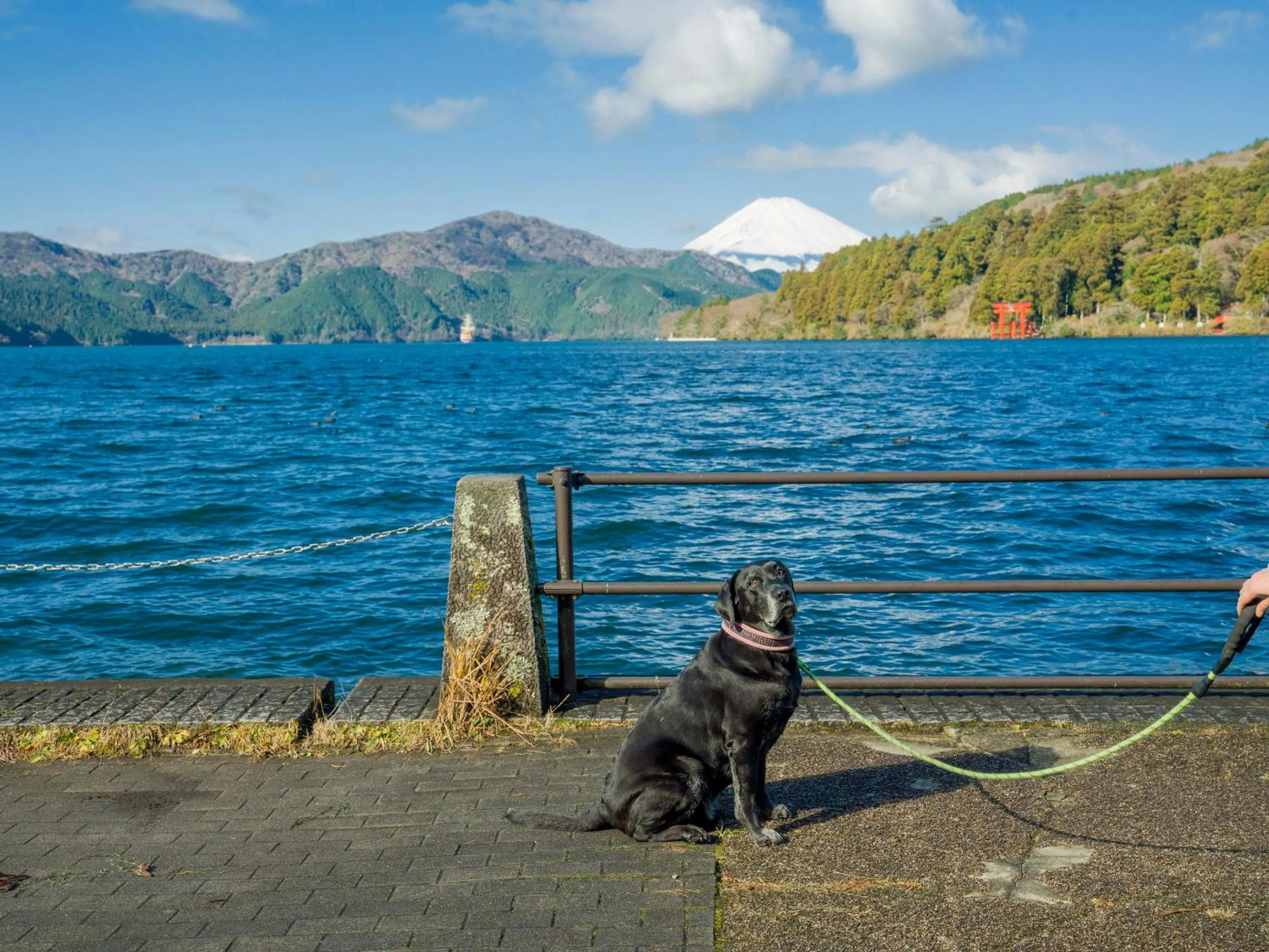 Day in Rakuten STAY FUJIMI TERRACE Hakone Ashinoko