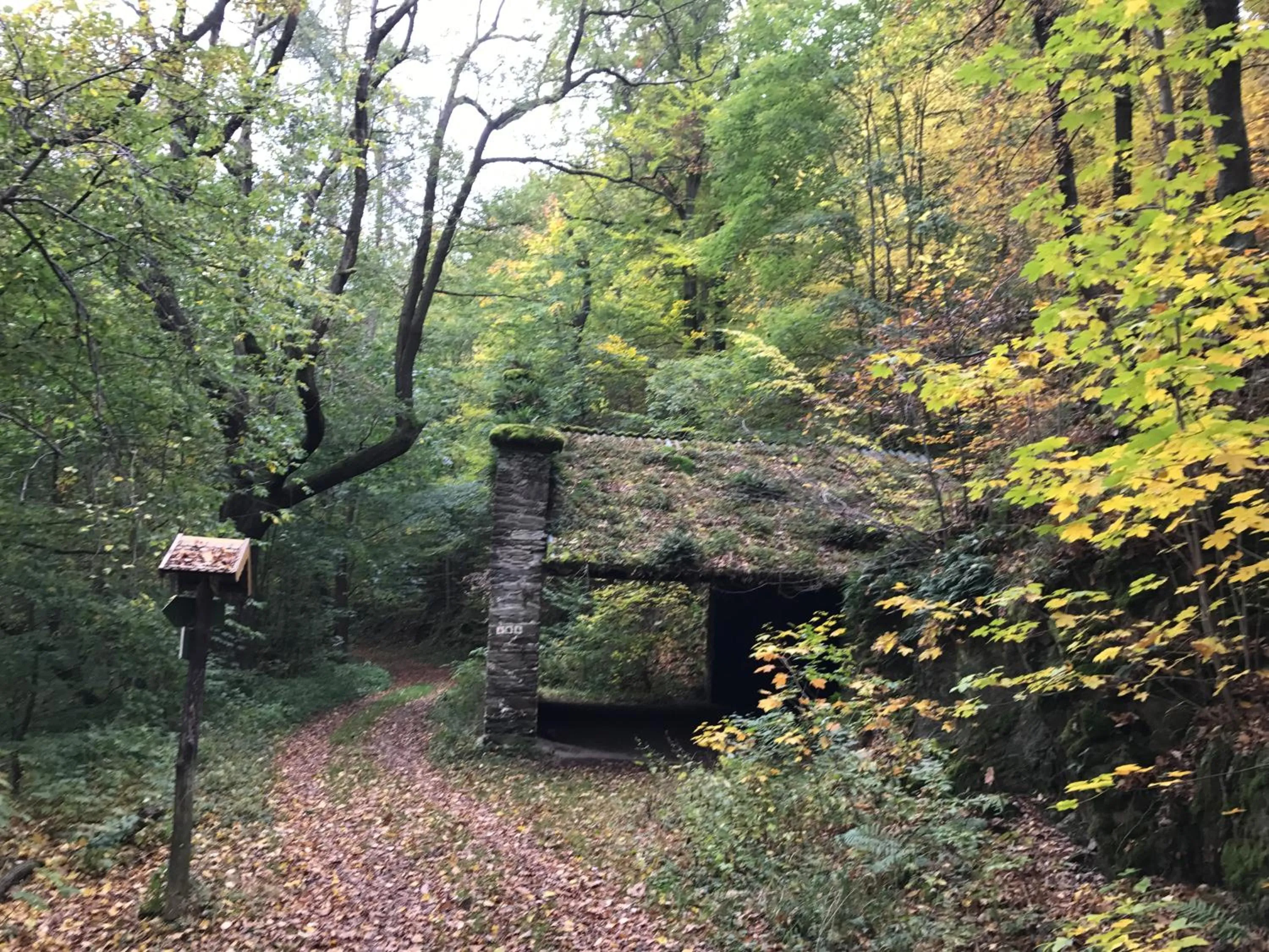 Natural landscape in Hotel Weinhaus Eberitzsch GmbH
