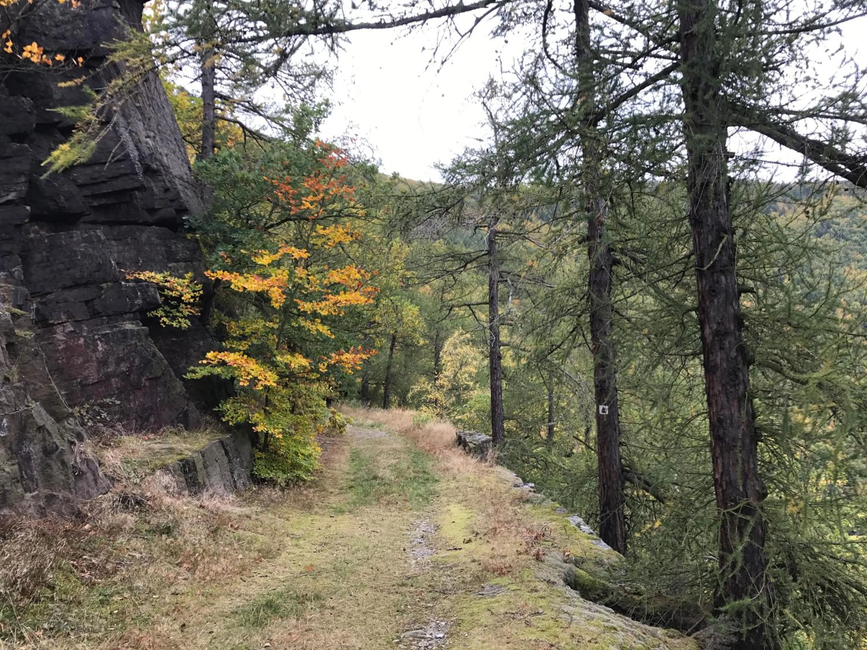 Natural landscape in Hotel Weinhaus Eberitzsch GmbH