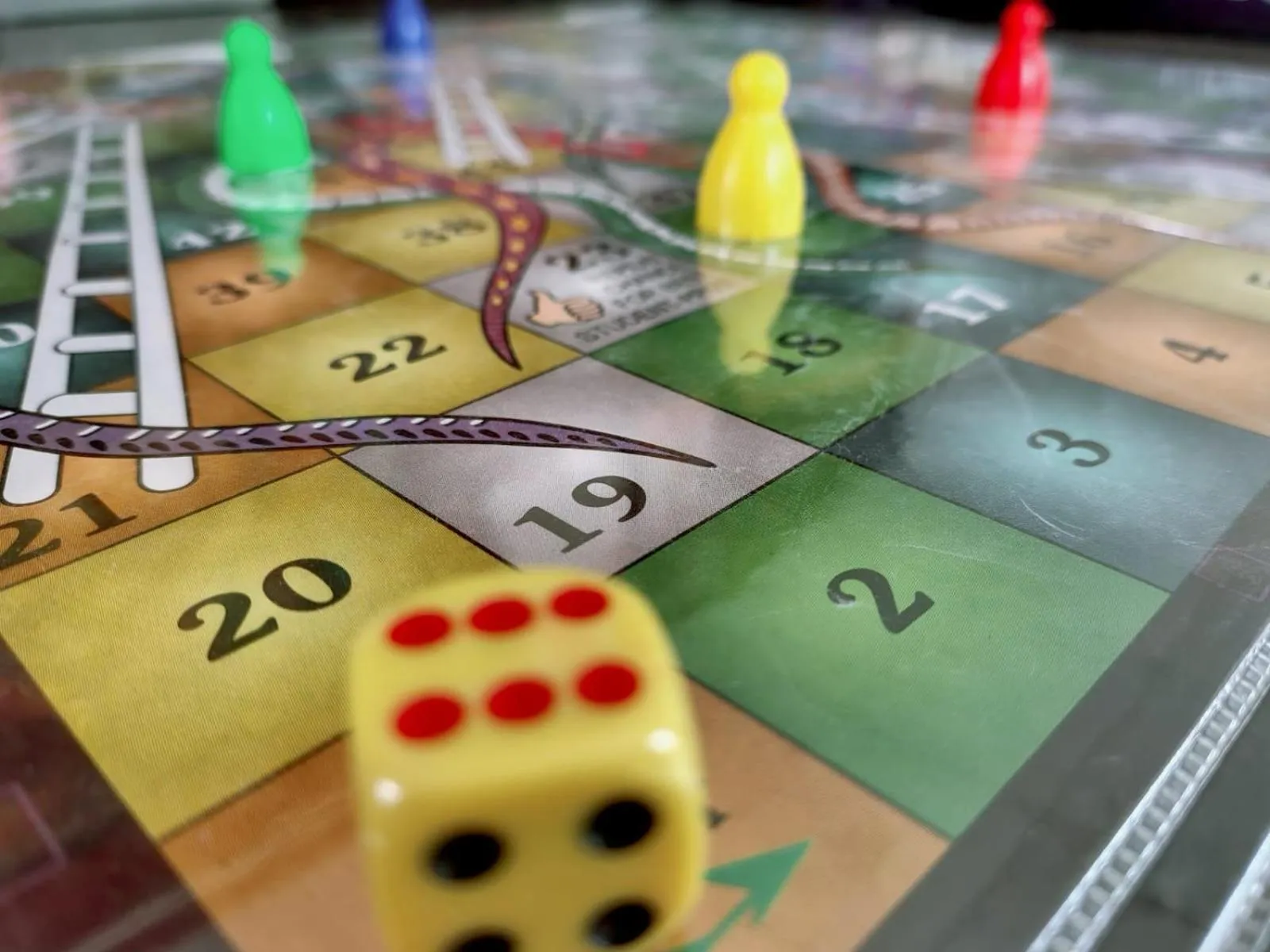 Activities in West Coast Gokarna