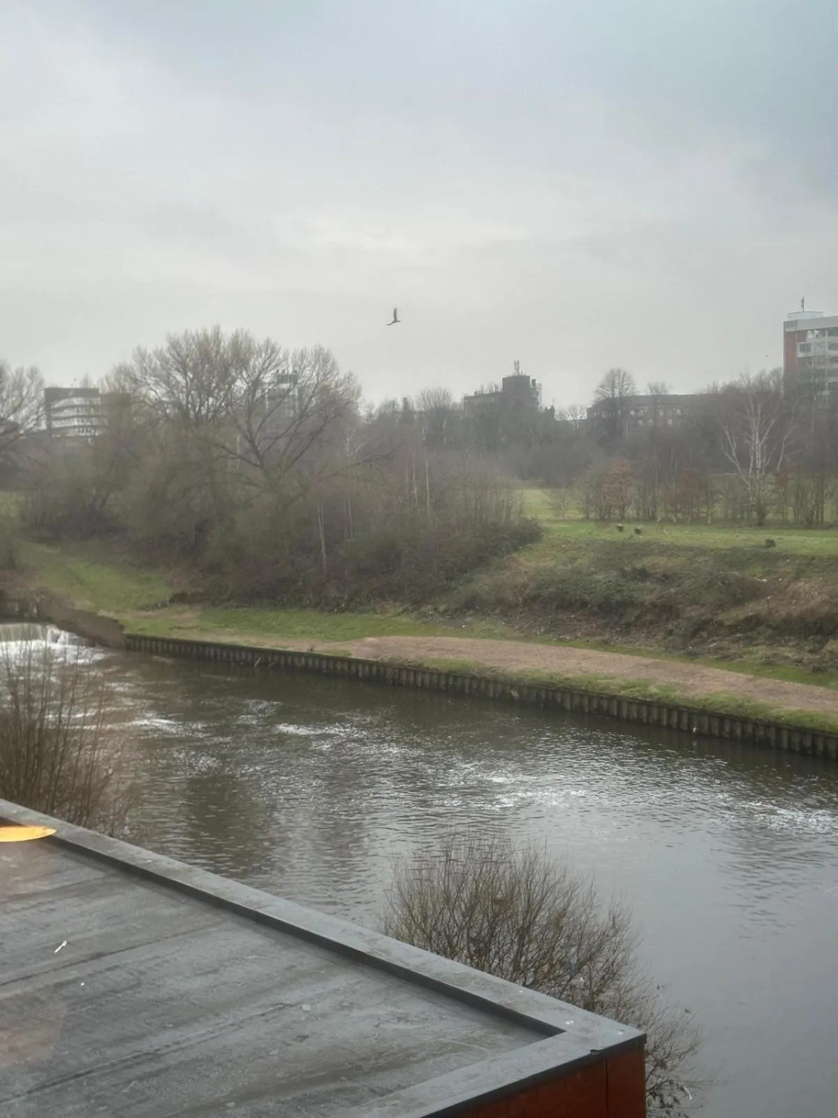 River view in Adelphi Wharf Apartments by Beehosting
