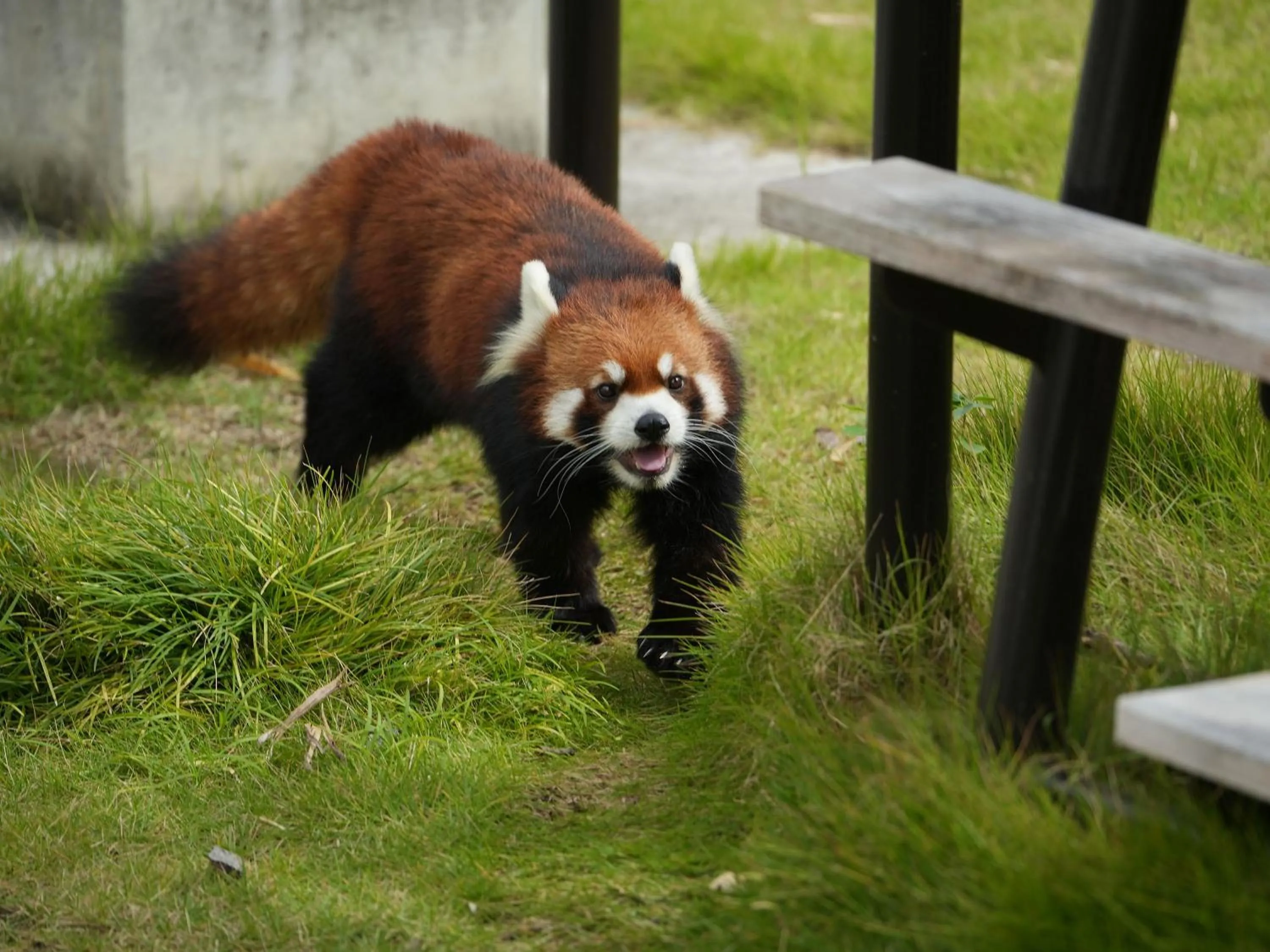 Off site in Prince Smart Inn Nagoya Sakae