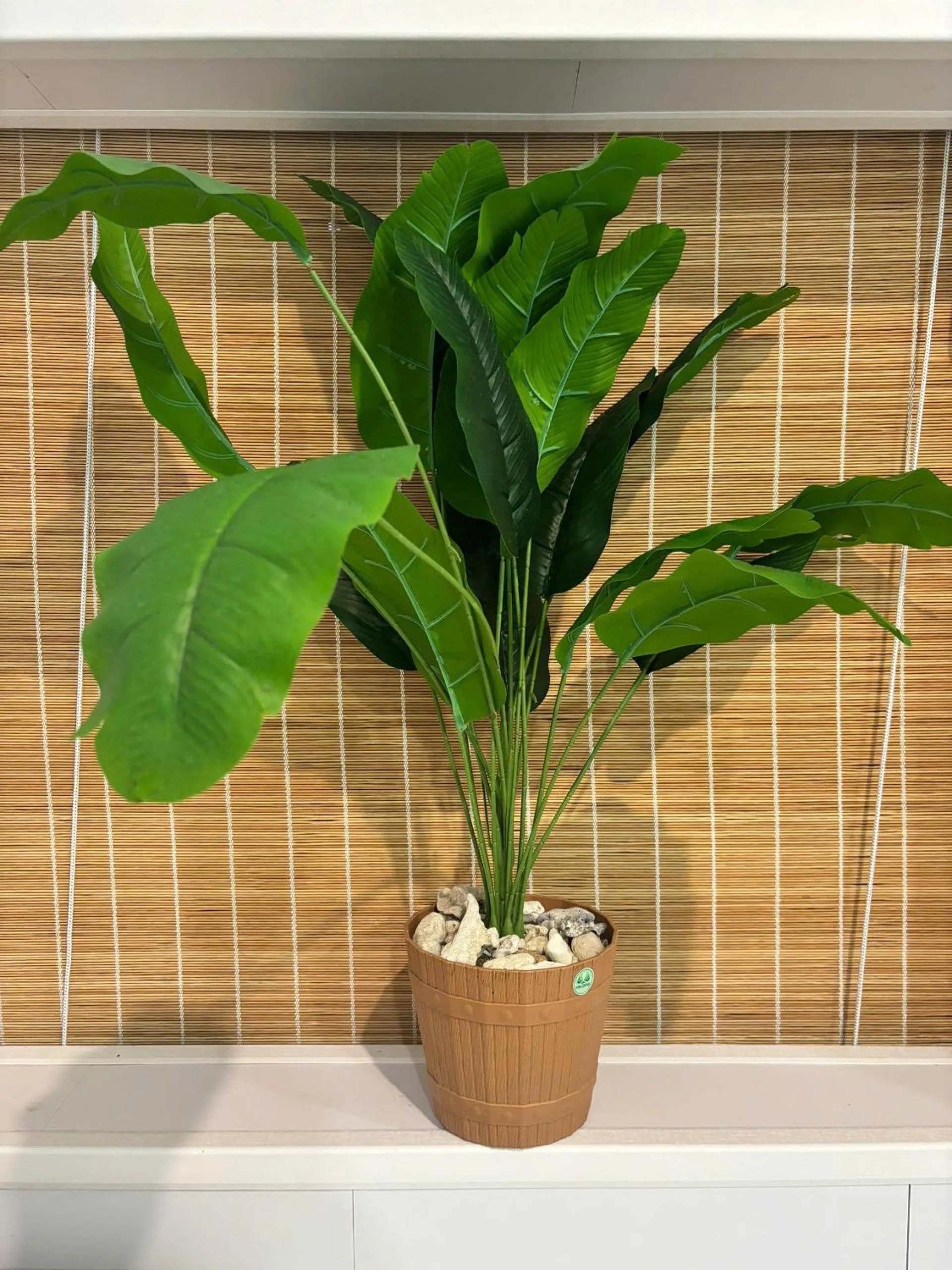 Other in Long Vĩ hotel - đảo Phú Quý