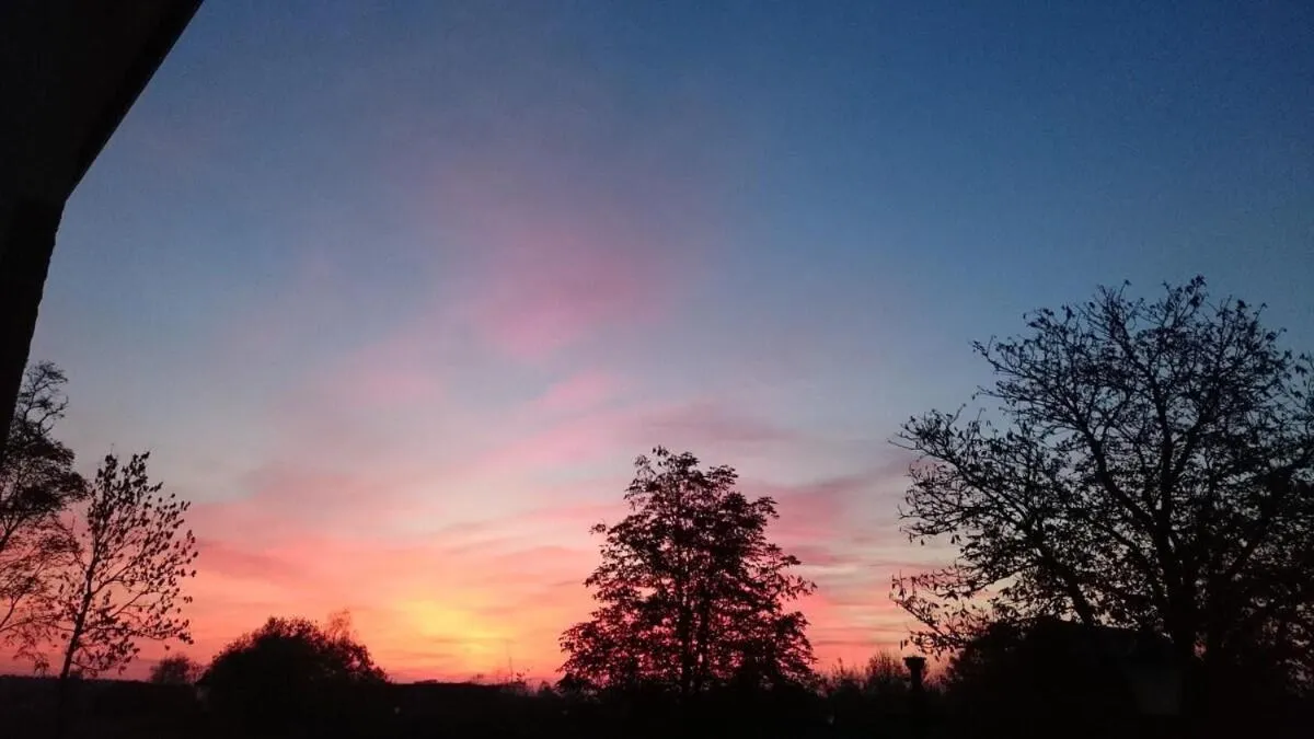 Natural landscape in Schloss Krugsdorf Golf & Hotel