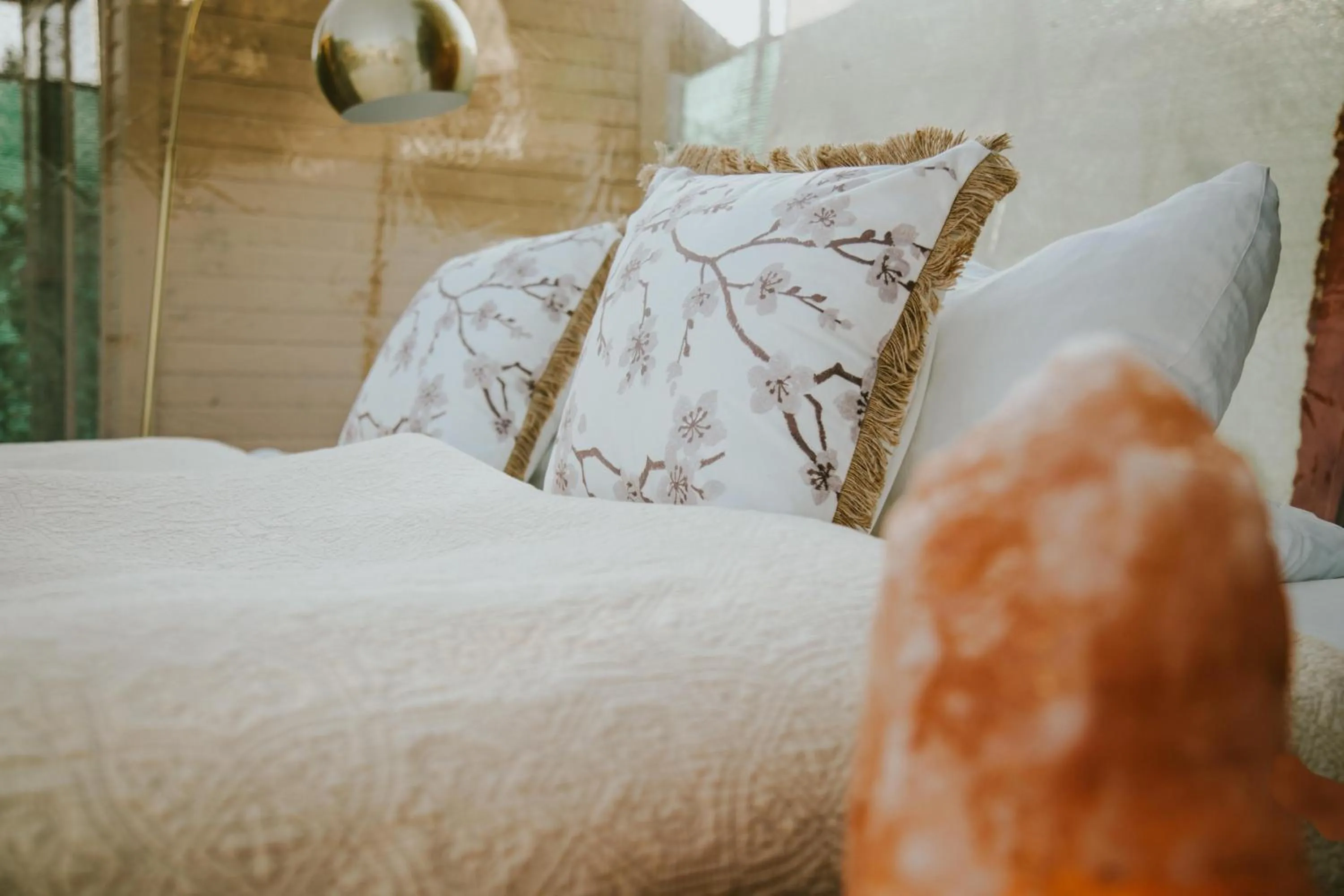 Photo of the whole room, Bed in Schloss Krugsdorf Golf & Hotel