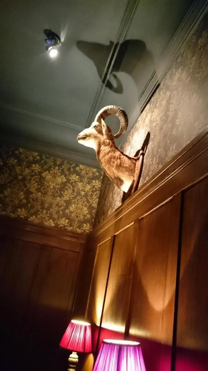 Area and facilities in Schloss Krugsdorf Golf & Hotel