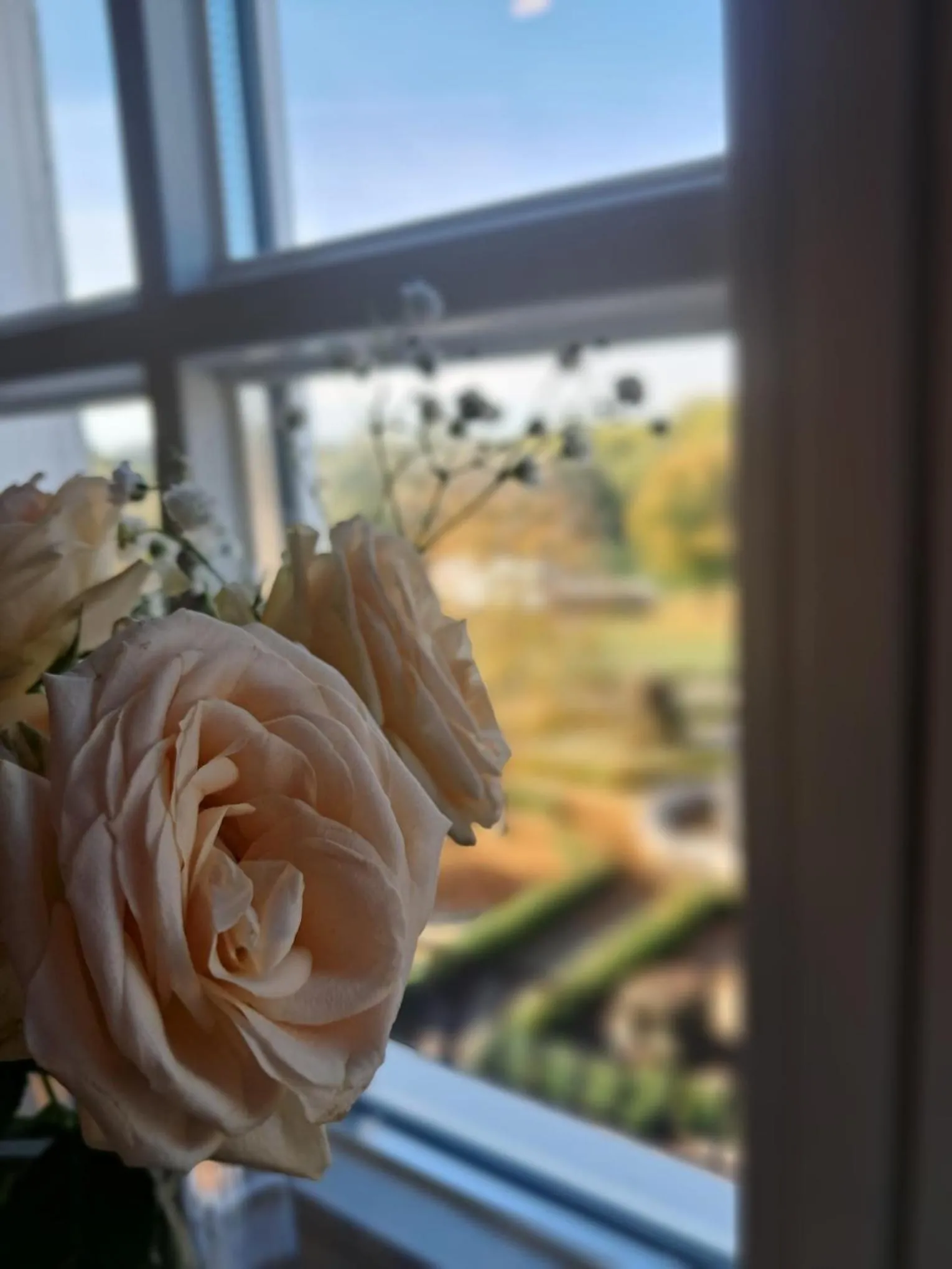 View (from property/room) in Schloss Krugsdorf Golf & Hotel