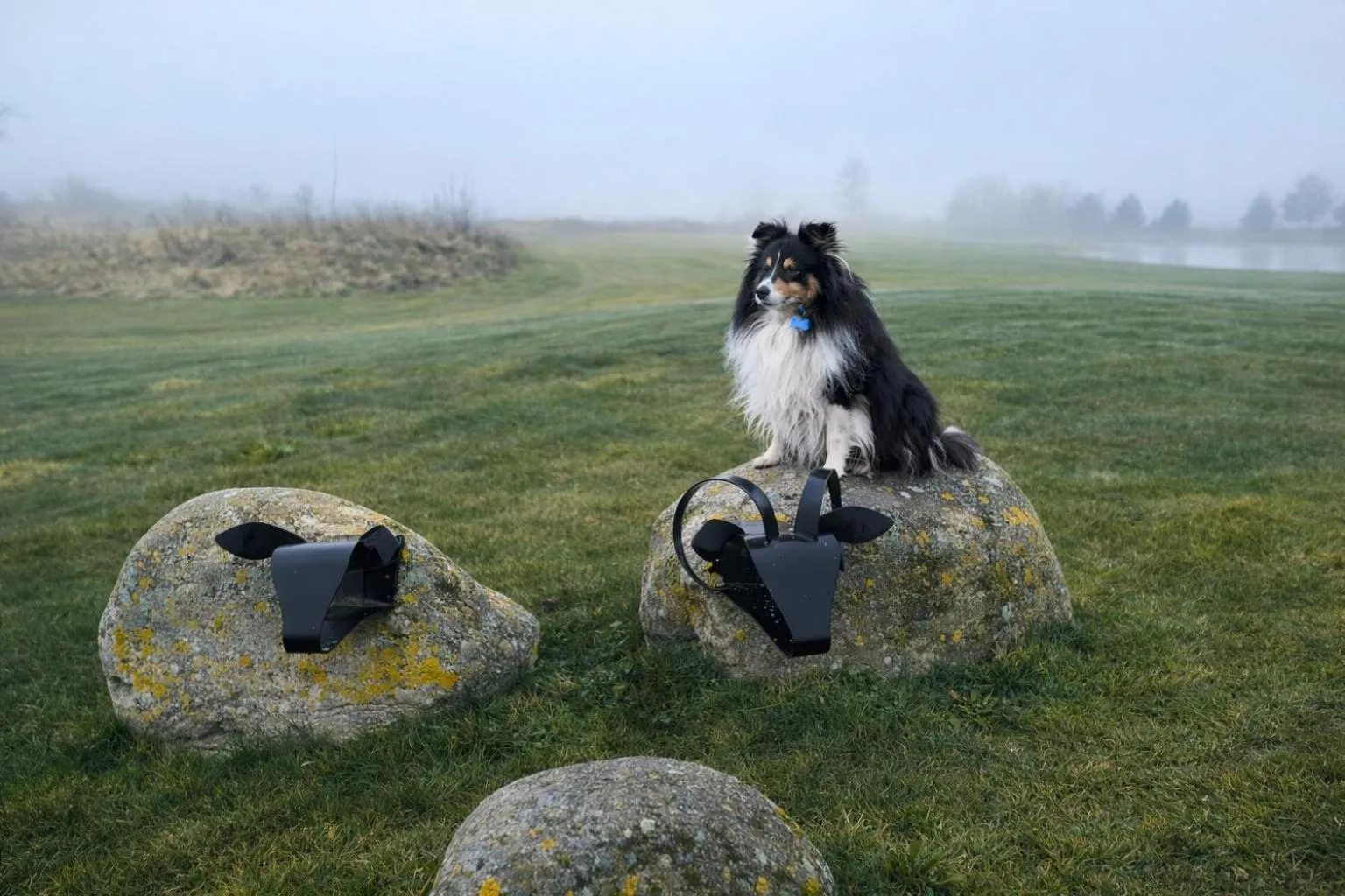 Pets in Schloss Krugsdorf Golf & Hotel