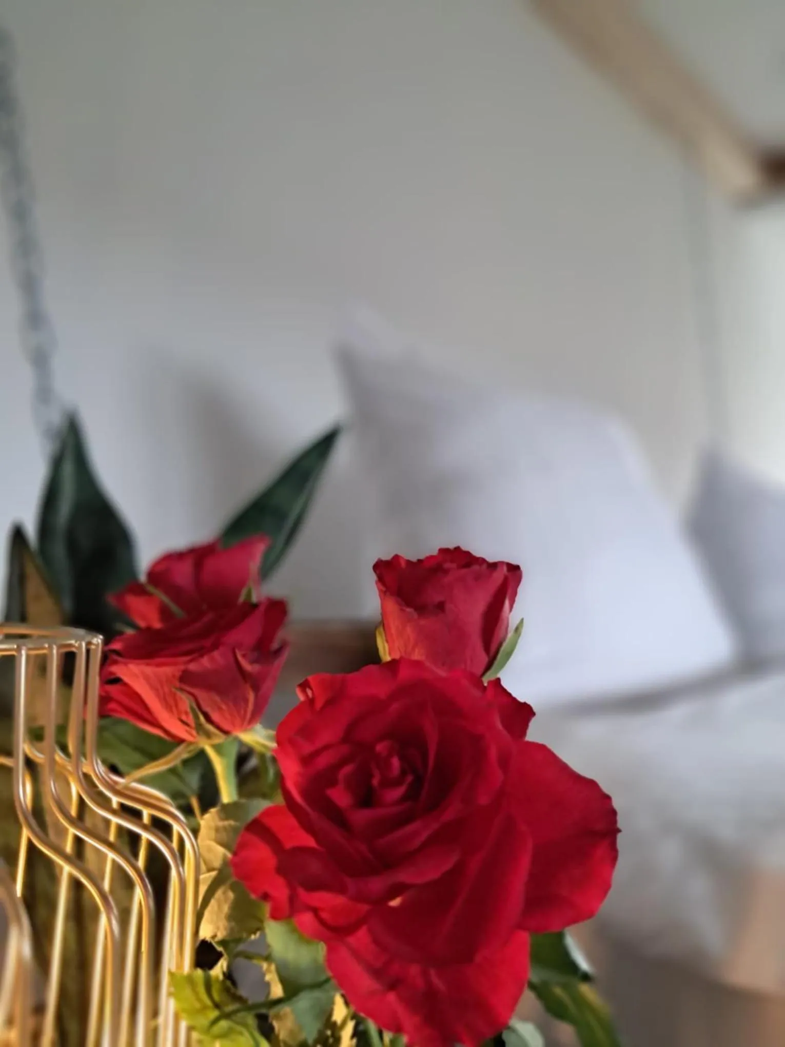 Photo of the whole room, Bed in Schloss Krugsdorf Golf & Hotel