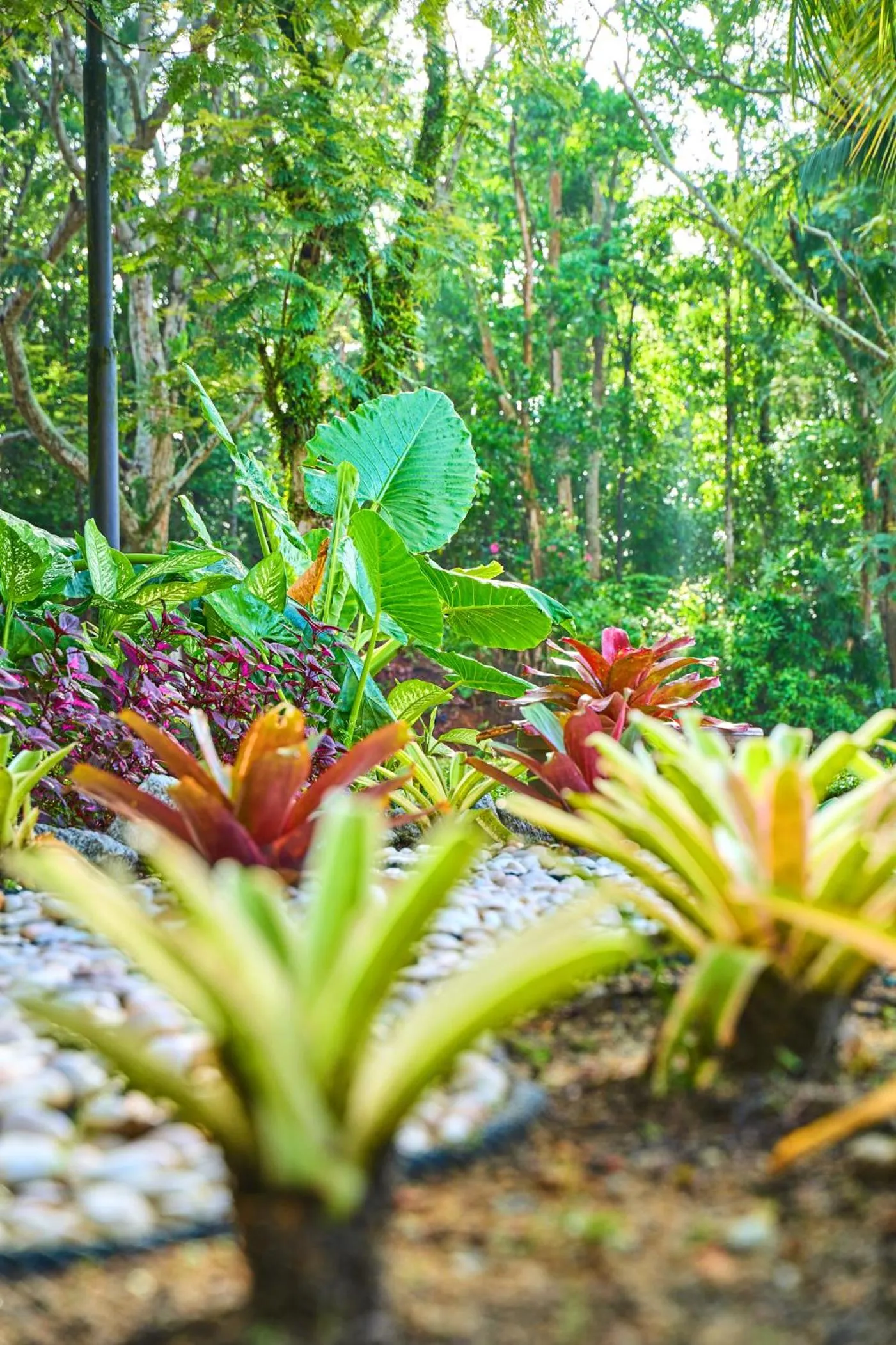 Garden in SGI Vacation Club Villa @ Damai Laut Holiday Resort
