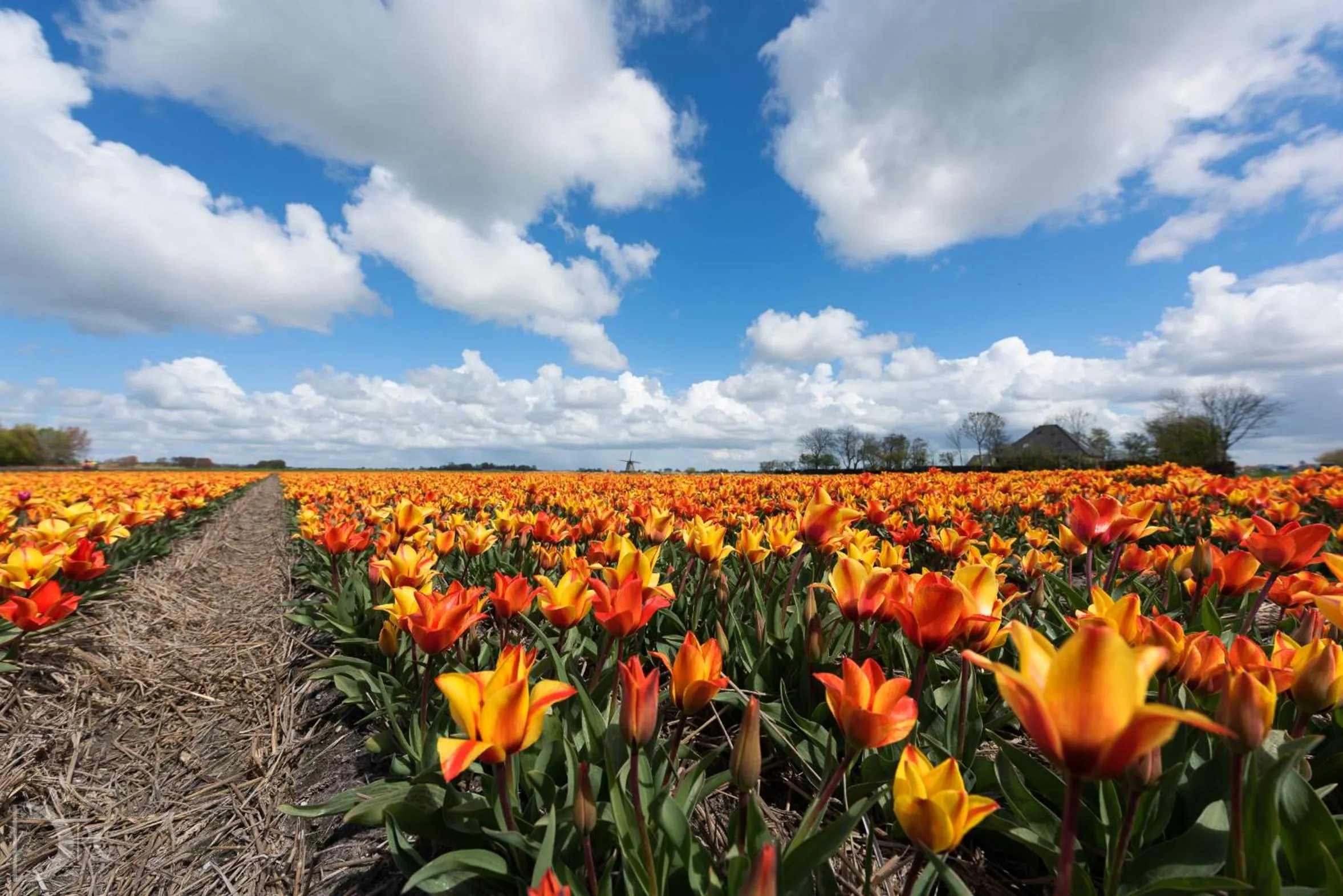 Neighbourhood in Strandhotel de Vassy