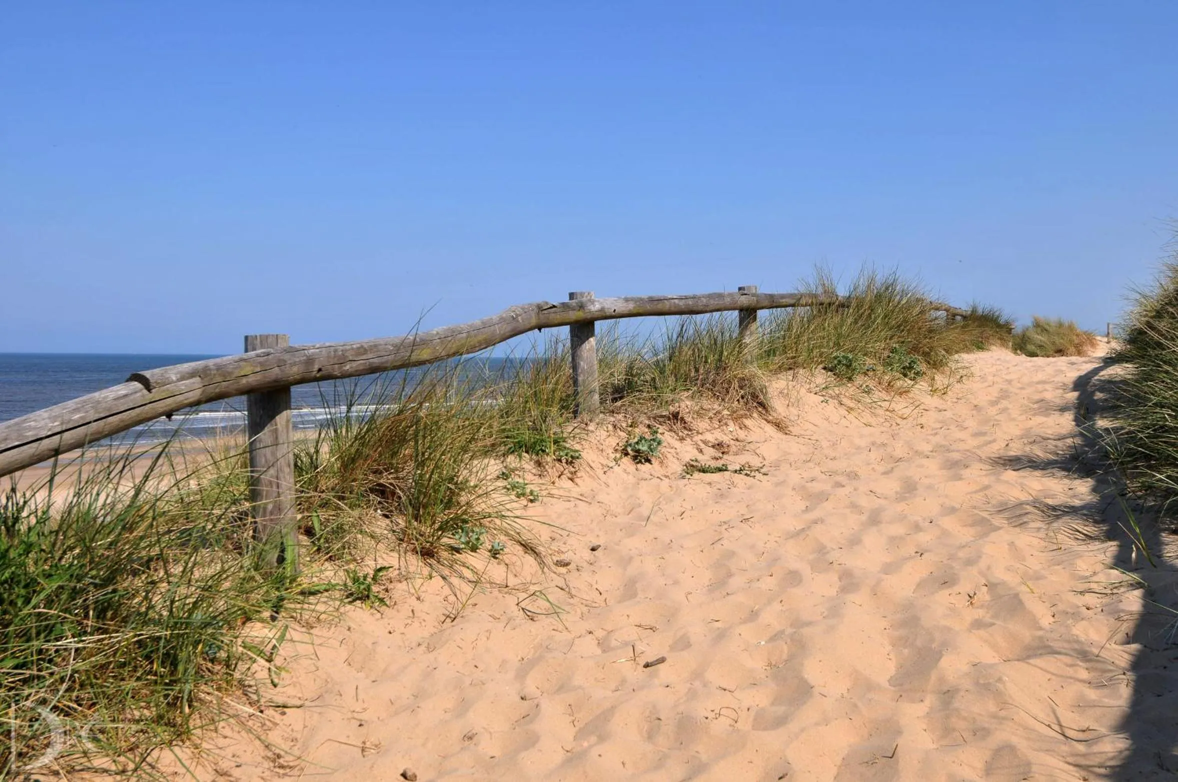 Beach in Strandhotel de Vassy
