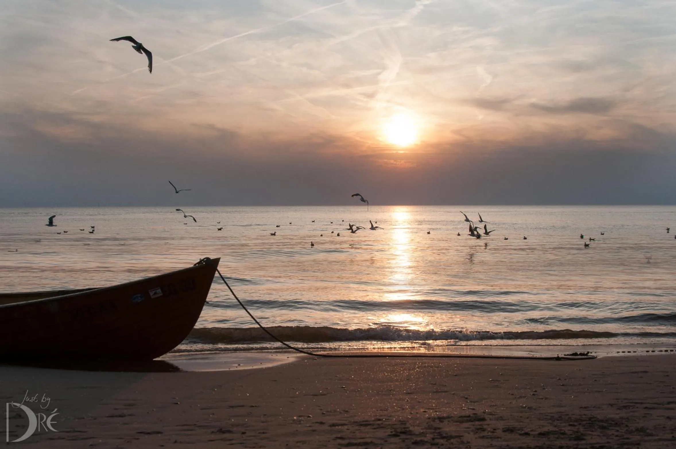 Beach in Strandhotel de Vassy