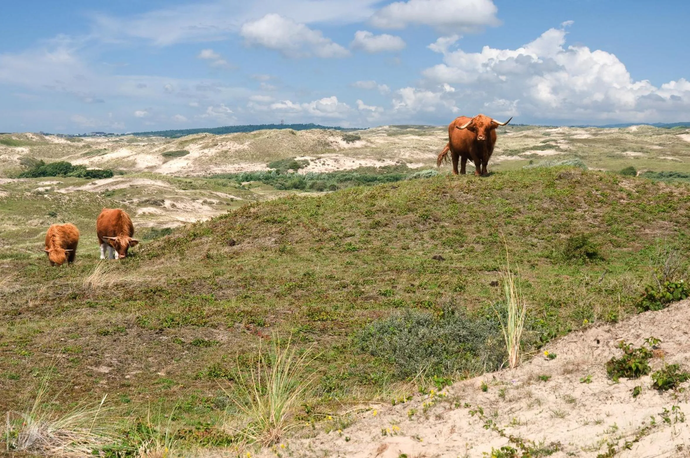 Neighbourhood in Strandhotel de Vassy