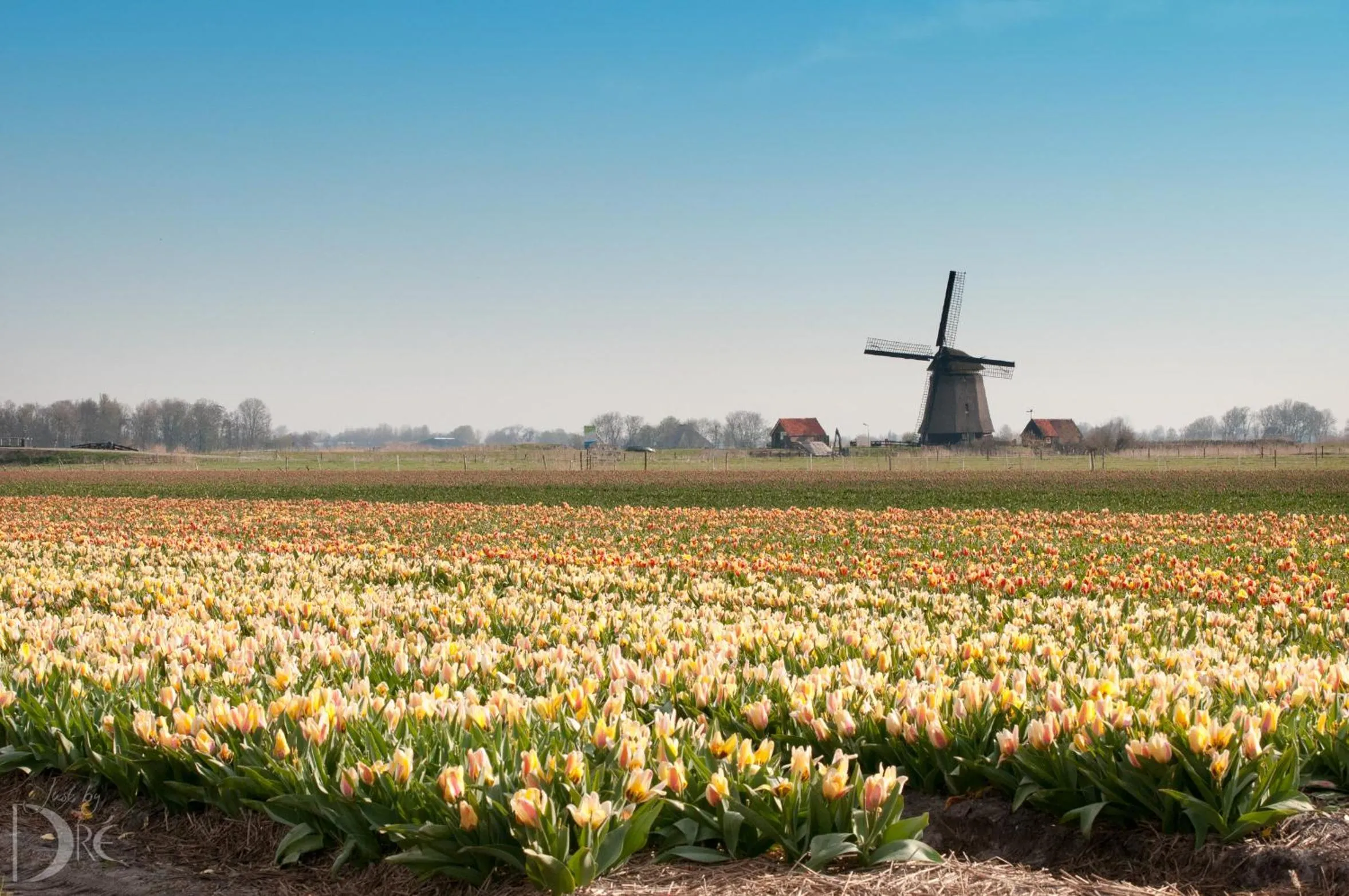 Neighbourhood in Strandhotel de Vassy