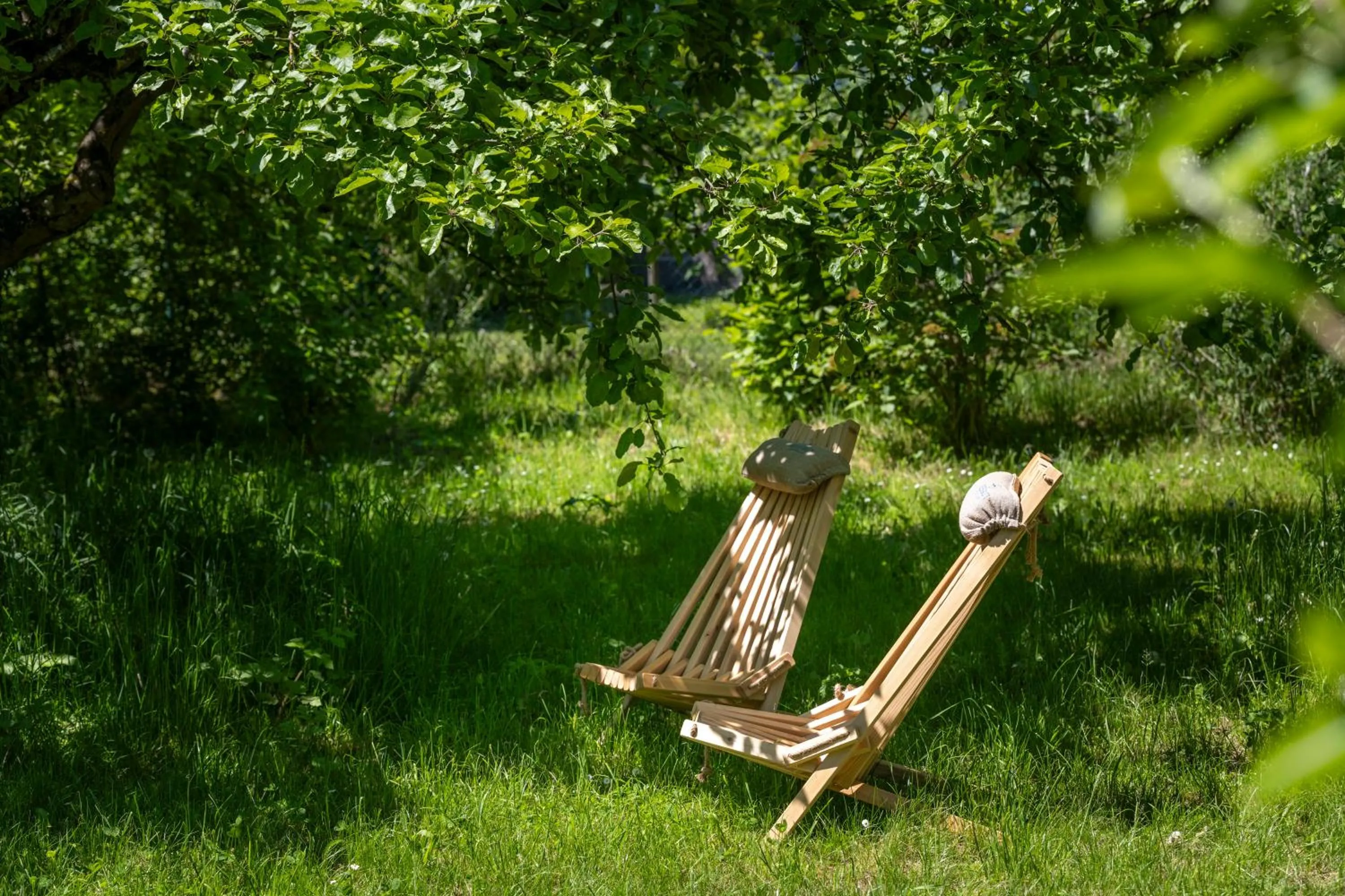 Garden in Seegut Zeppelin - a member of Design Hotels