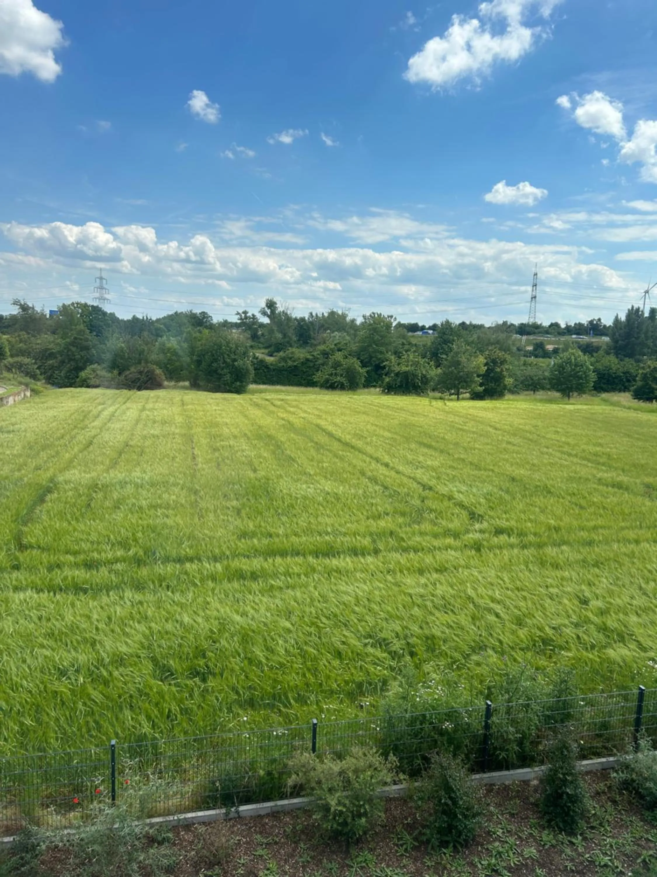 Hotel Central Vis a Vis