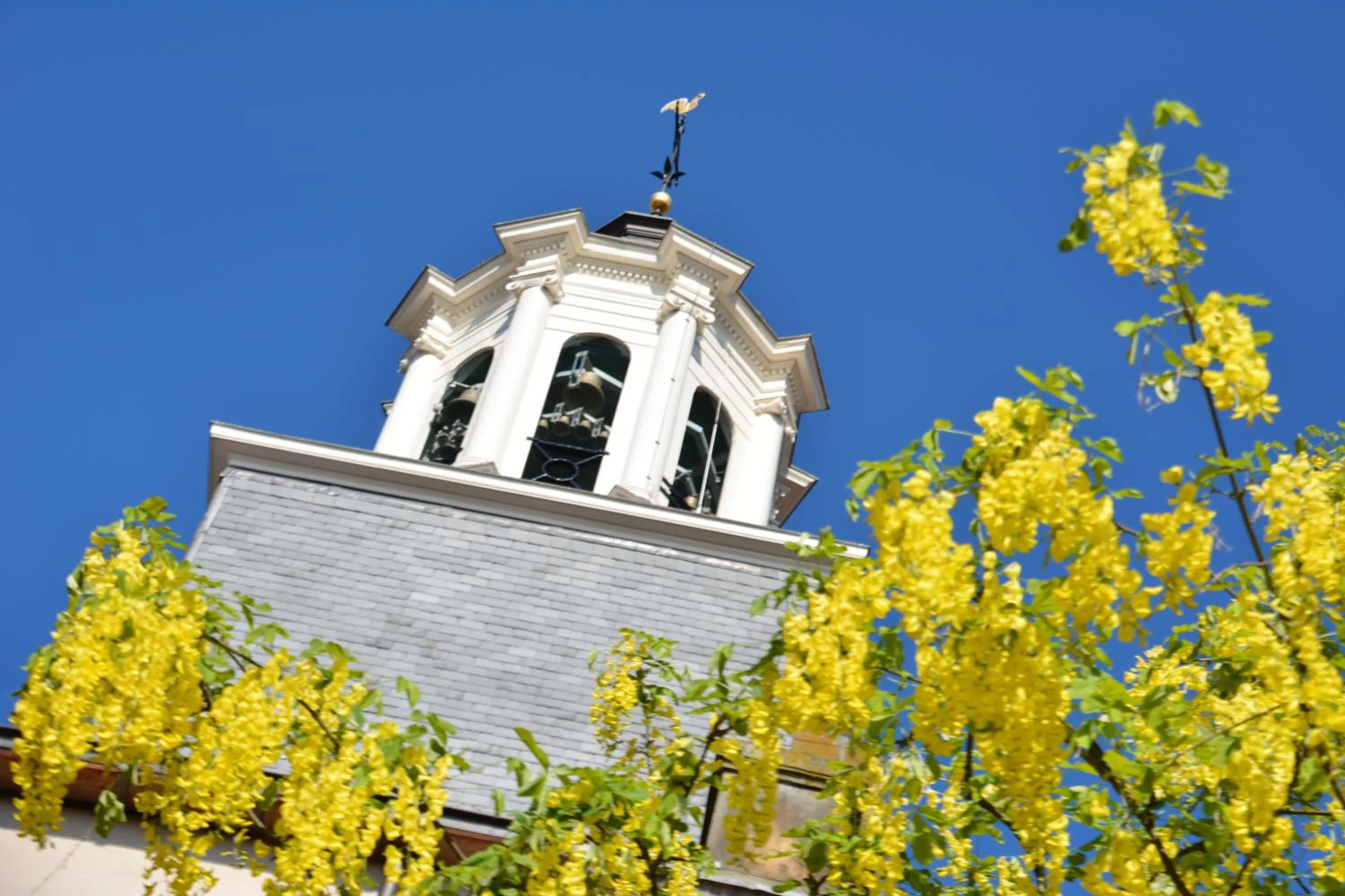 Area and facilities in De Rozenstruik