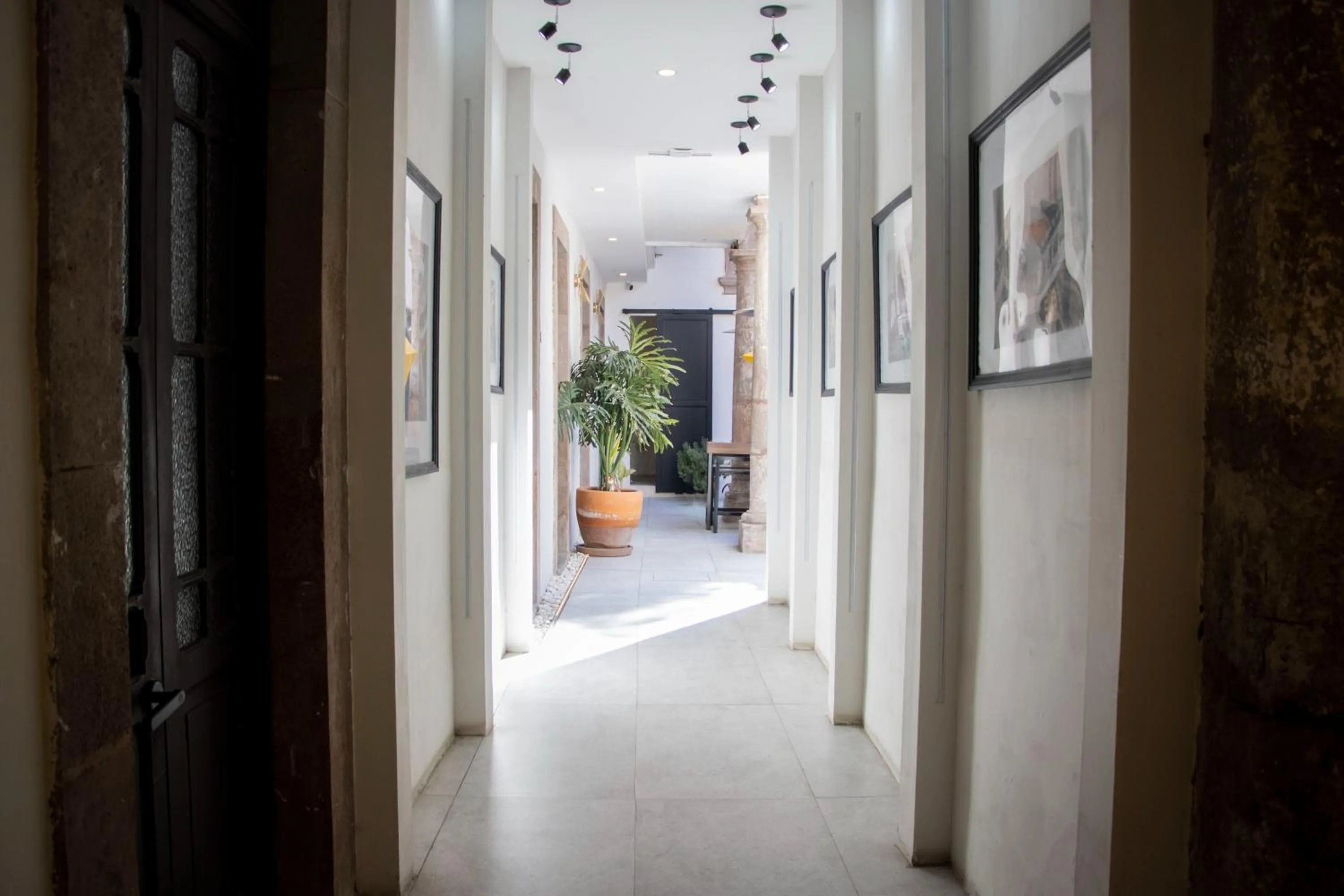 Area and facilities in Collection O Patio Zaragoza