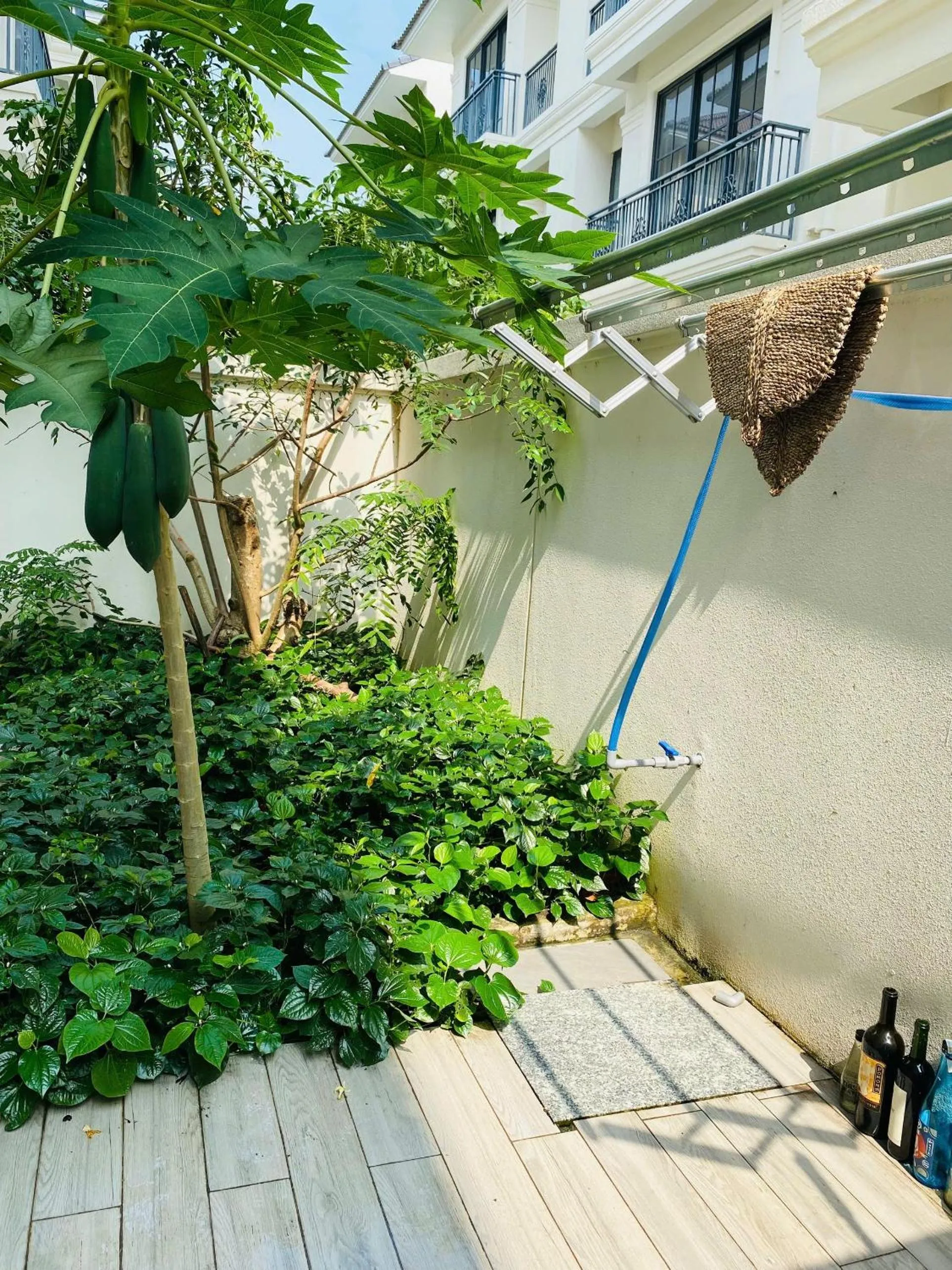 Garden in Thong Dong Homestay