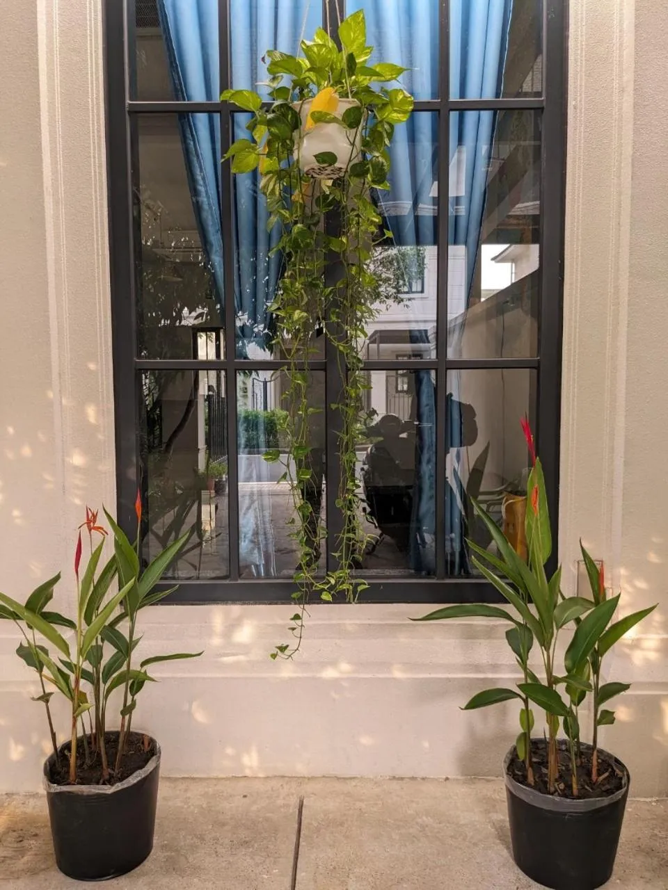 Inner courtyard view in Thong Dong Homestay