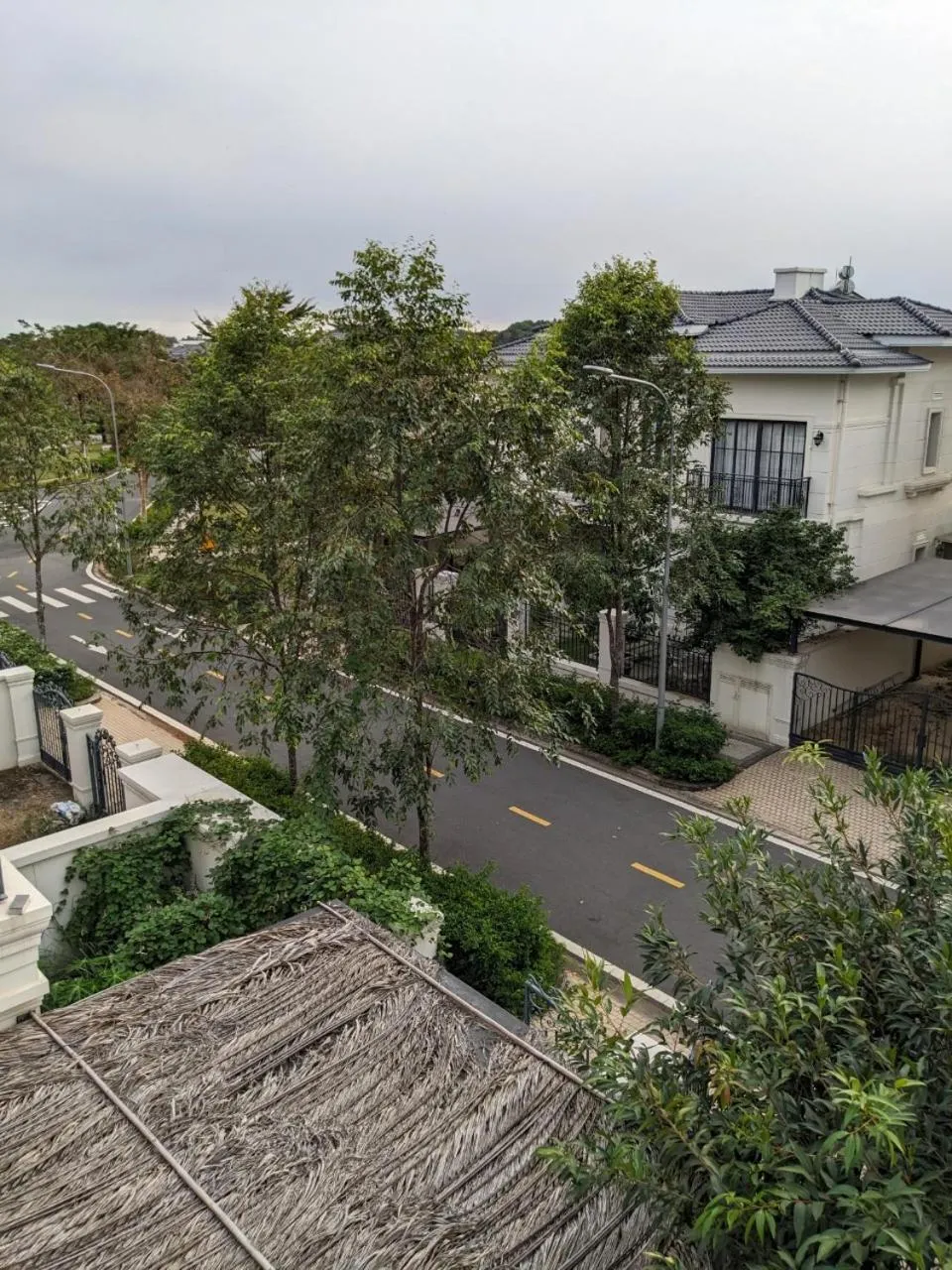 Day in Thong Dong Homestay