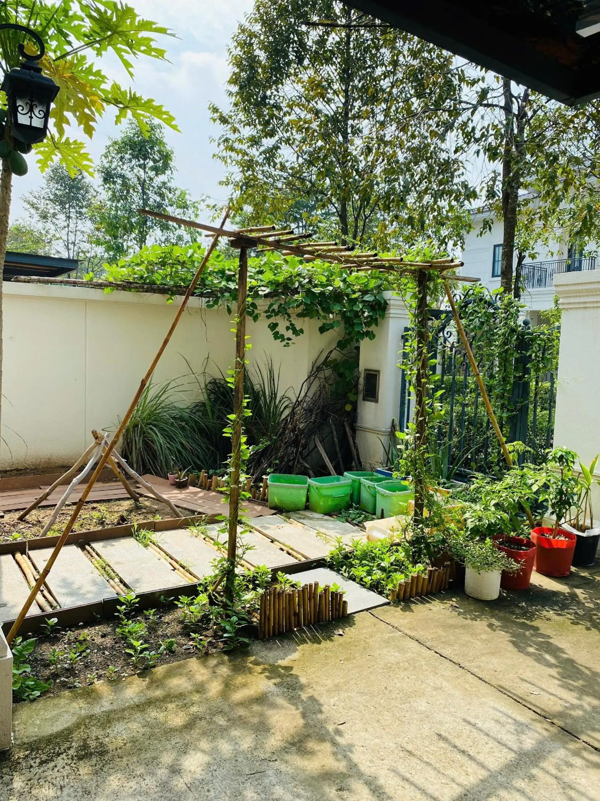 Garden in Thong Dong Homestay