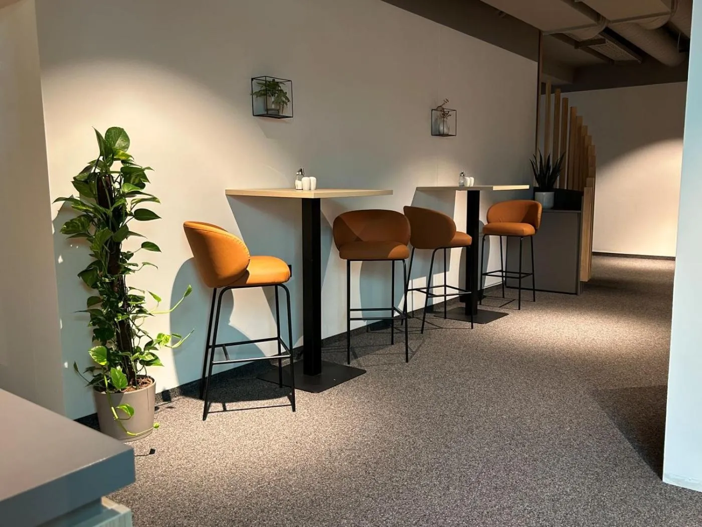 Restaurant/places to eat in JUFA Hotel Bernkastel-Kues