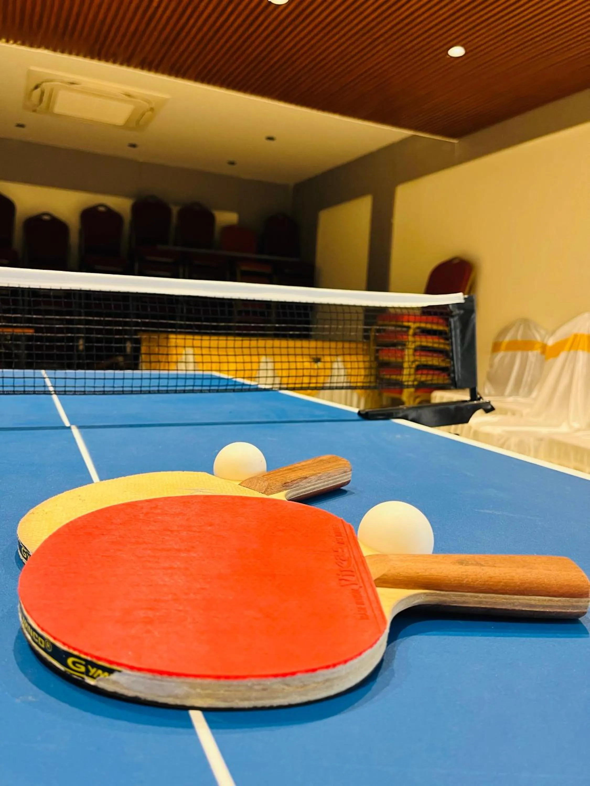 Game Room in Misty Blues Resort & Villas