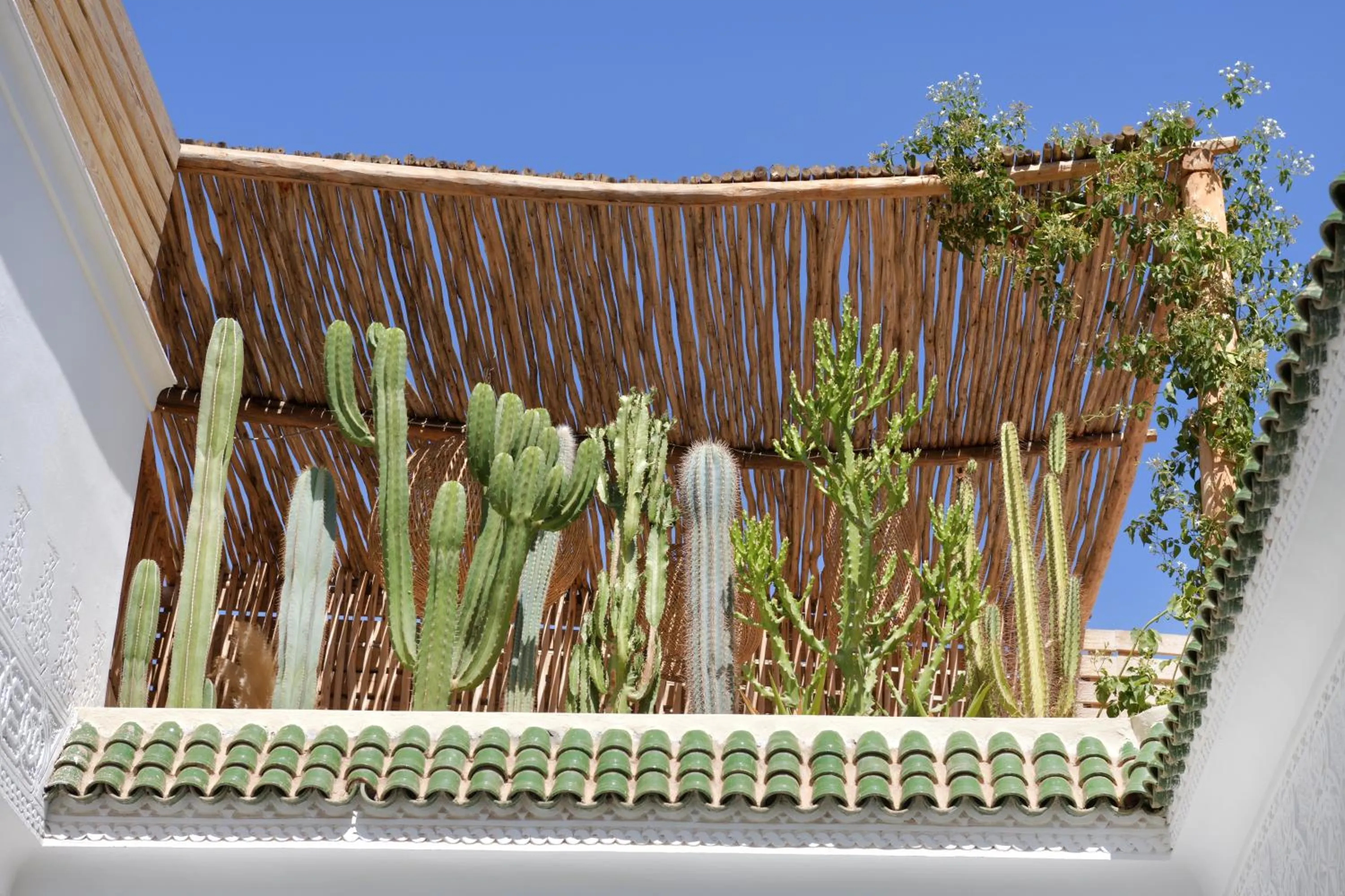 Spring in Riad Palau Marrakech