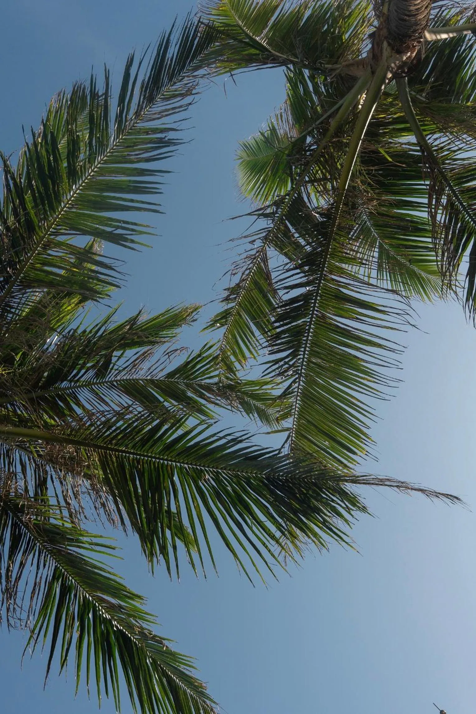 DORMERO Hotel Sri Lanka Hikkaduwa Beach