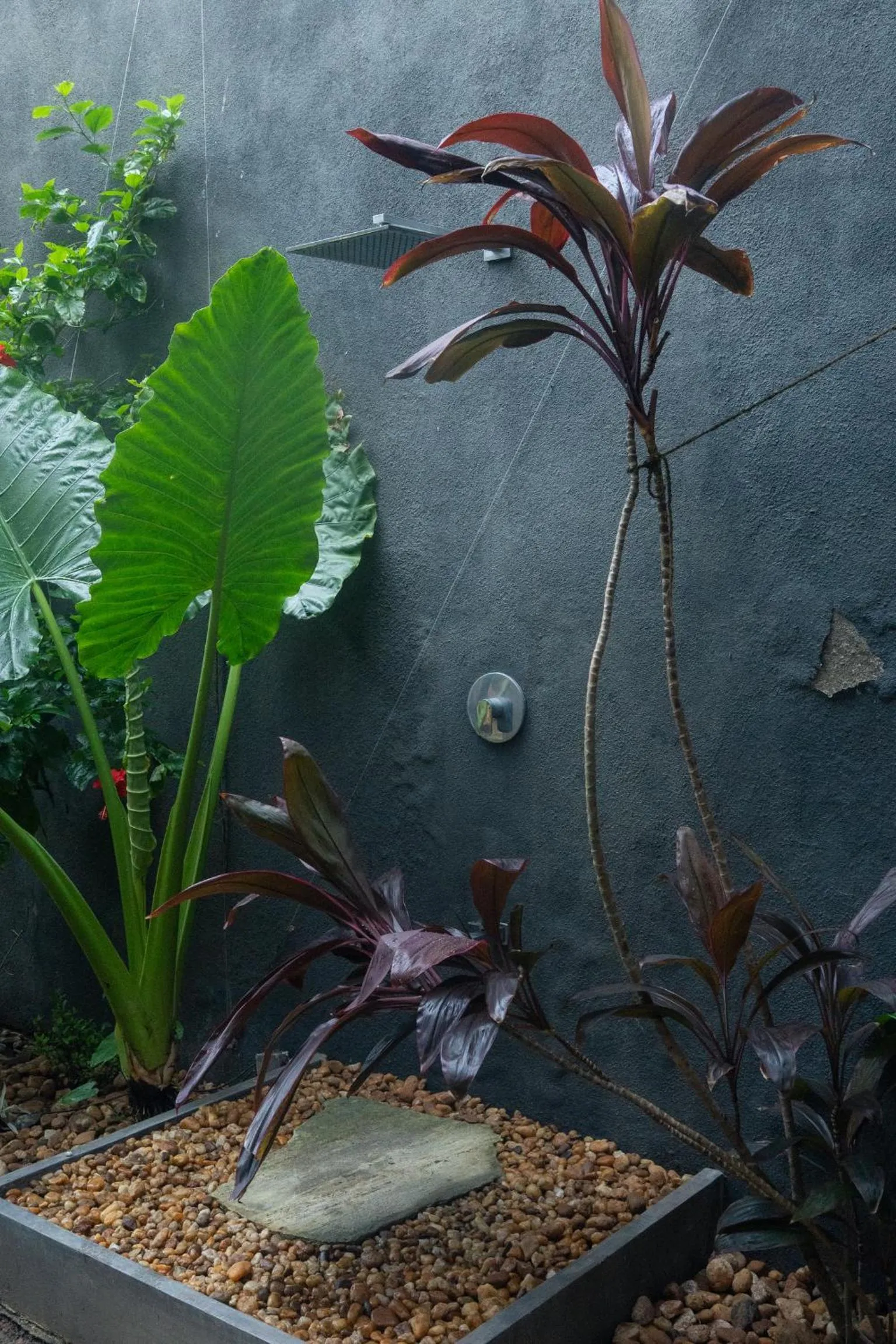 DORMERO Hotel Sri Lanka Hikkaduwa Beach