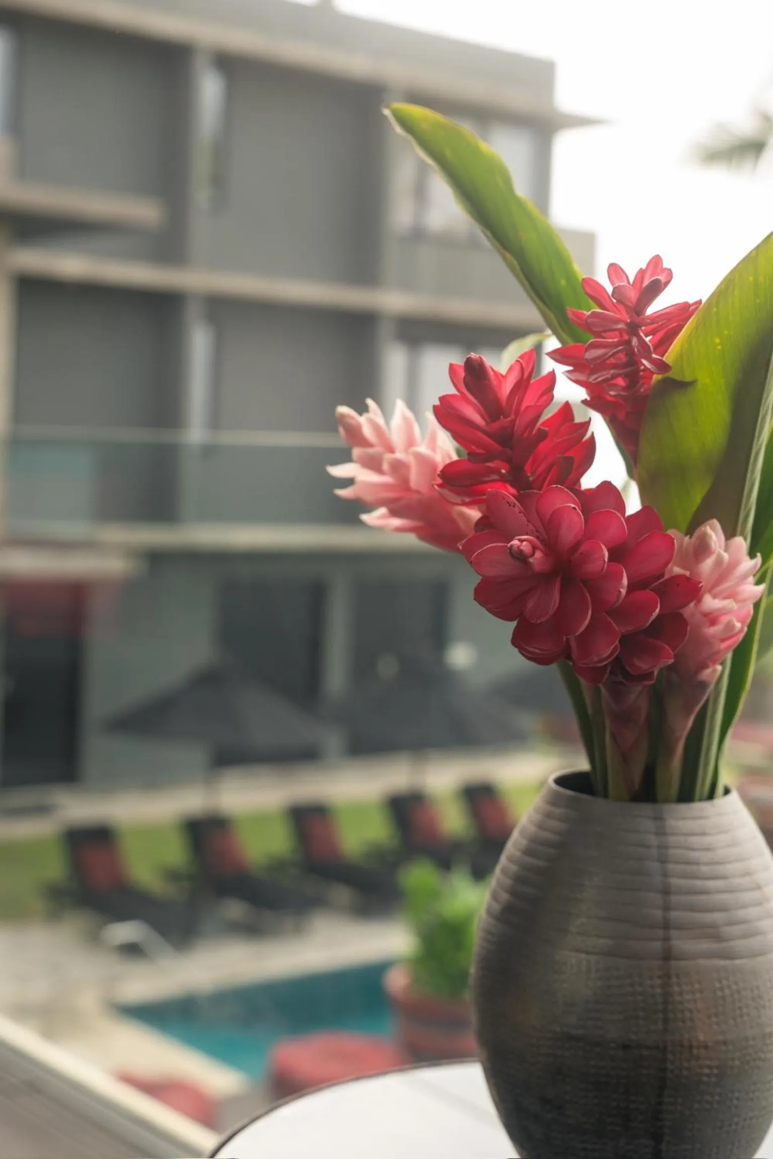 DORMERO Hotel Sri Lanka Hikkaduwa Beach