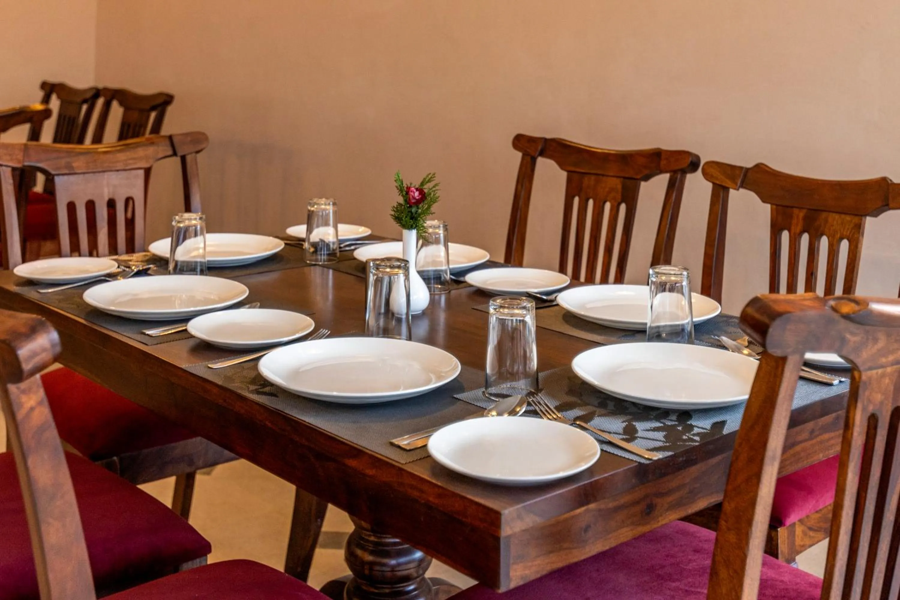 Food and drinks in Sterling ReWild Sariska