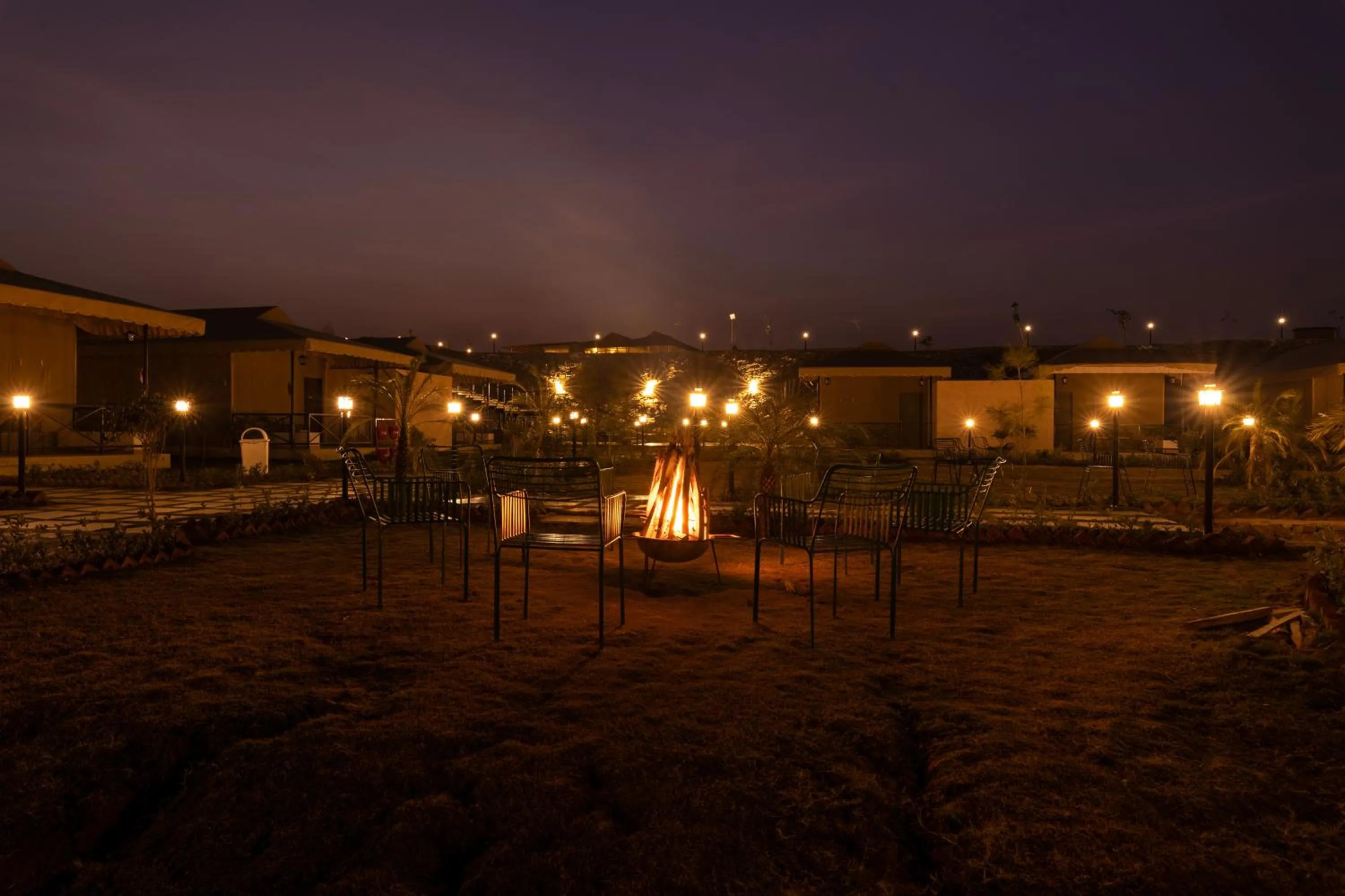 Night in Sterling ReWild Sariska