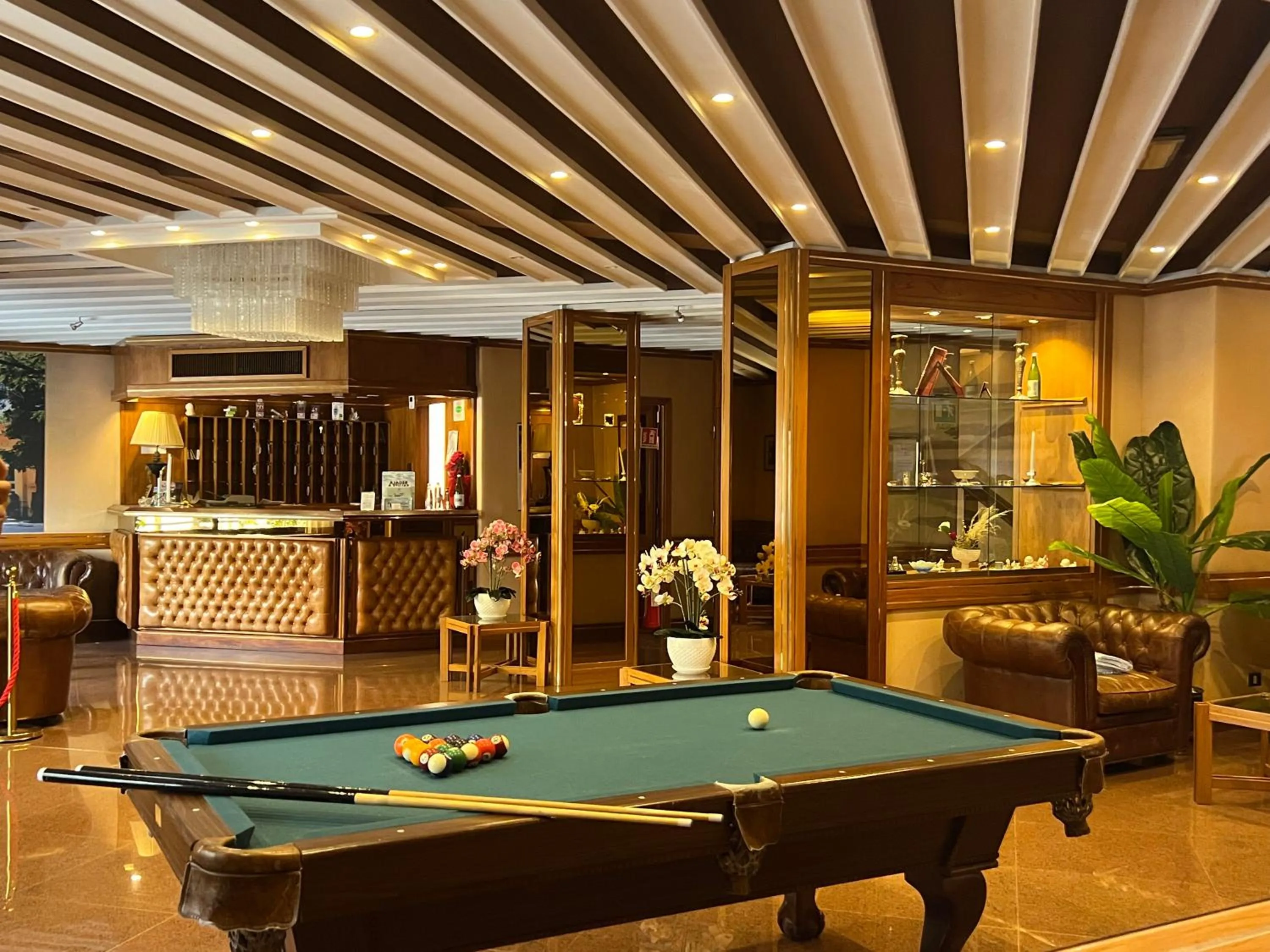Billiard in Hotel Erika