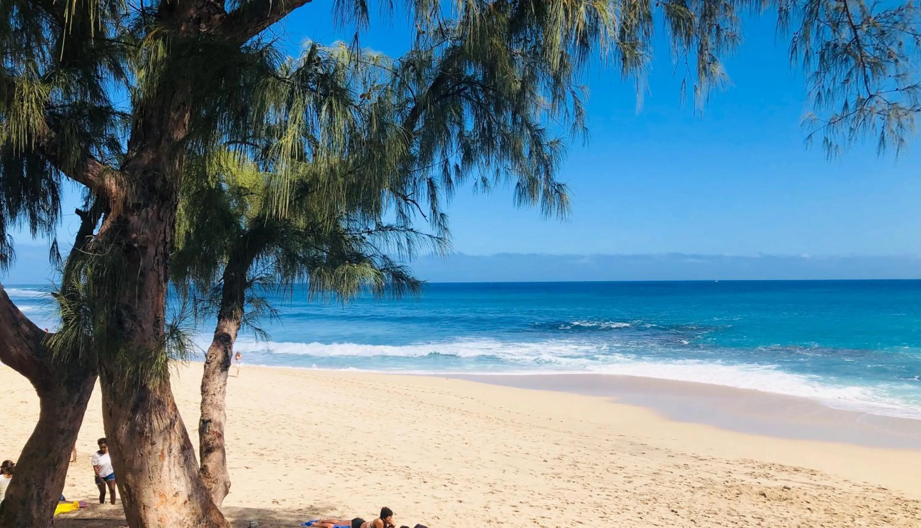 MARINA , 2mn à PIEDS PLAGE BOUCAN CANOT