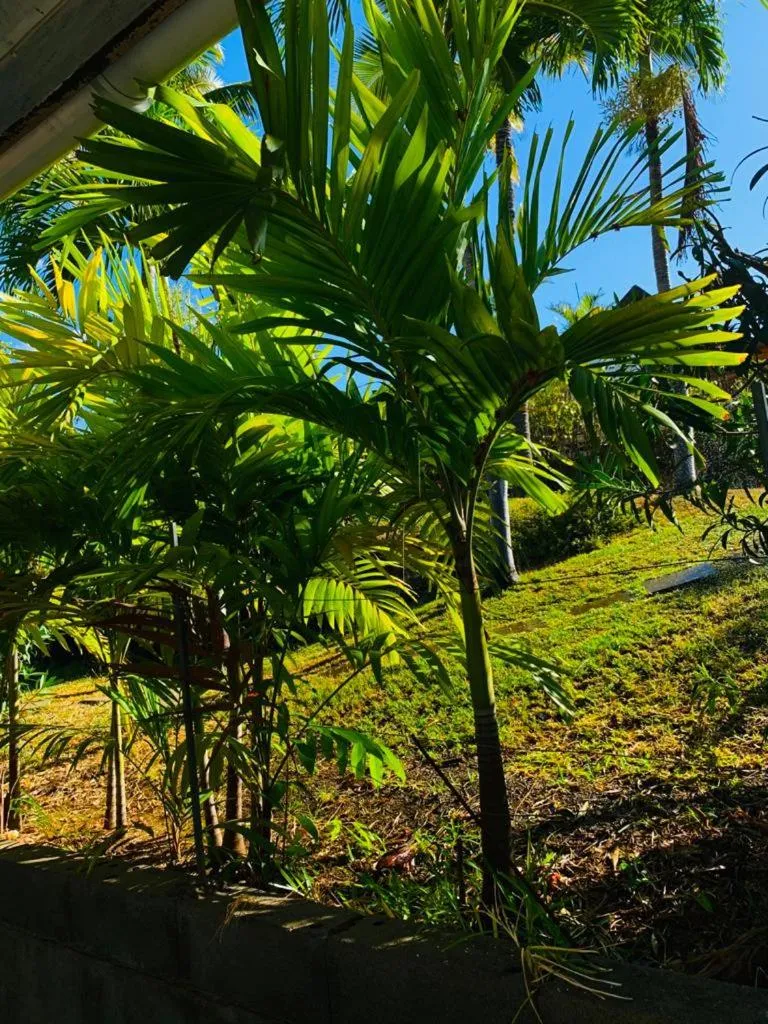MARINA , 2mn à PIEDS PLAGE BOUCAN CANOT