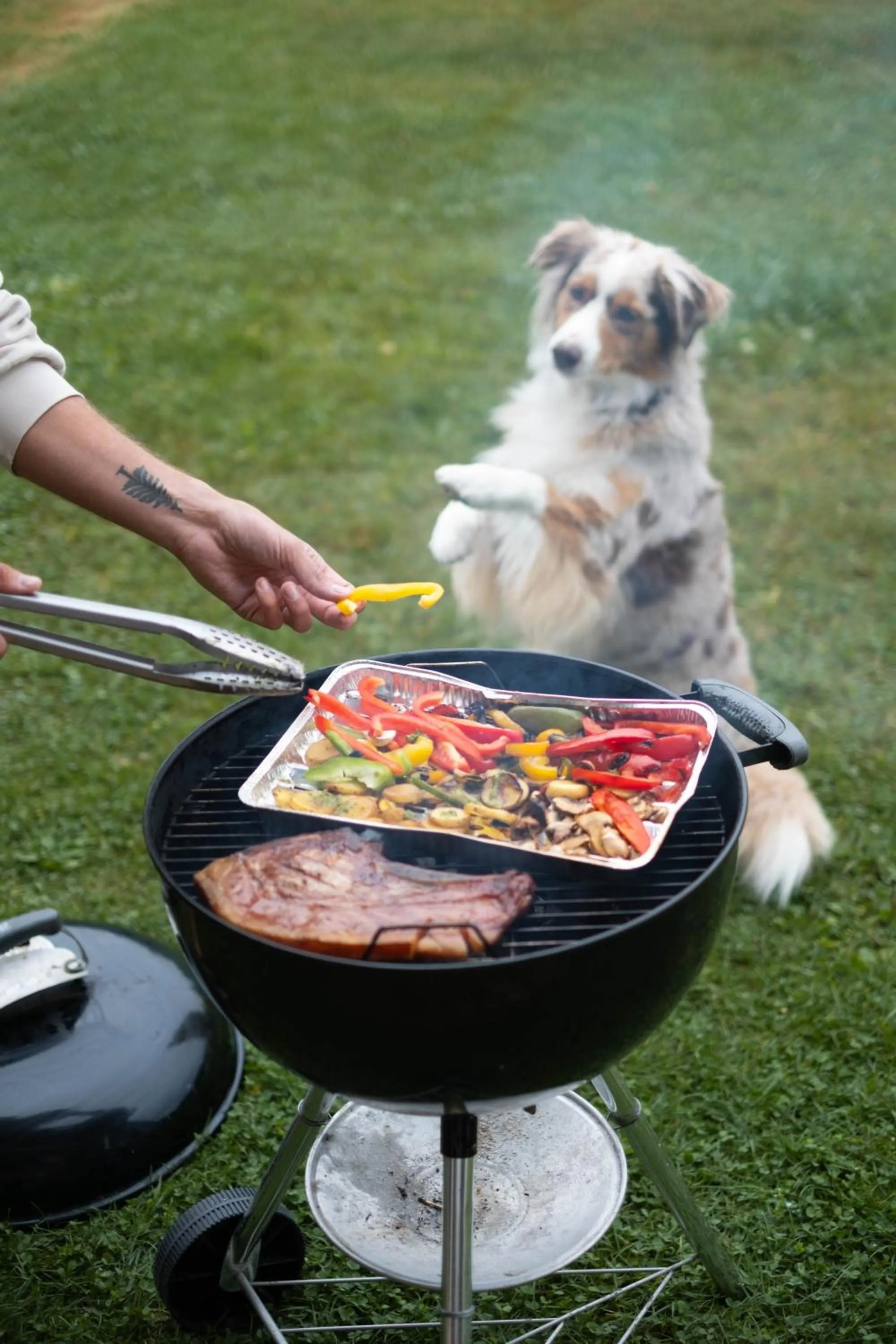 BBQ facilities in Amenity Hotel & Resort Lipno